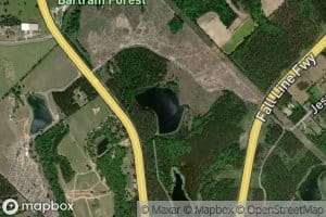 Forestry Pond Number Two