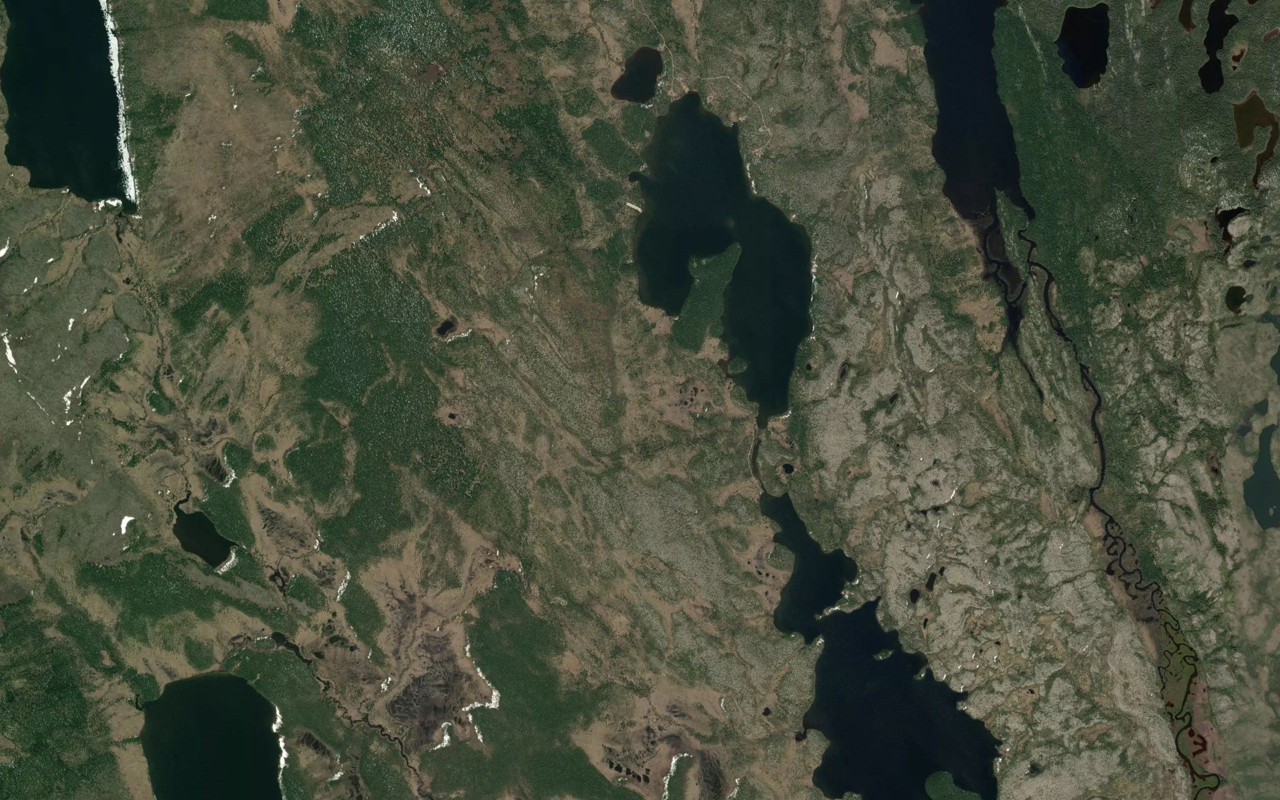 Lower Loon Lake