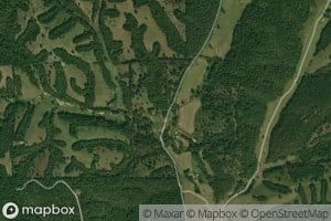 Black Fox Springs