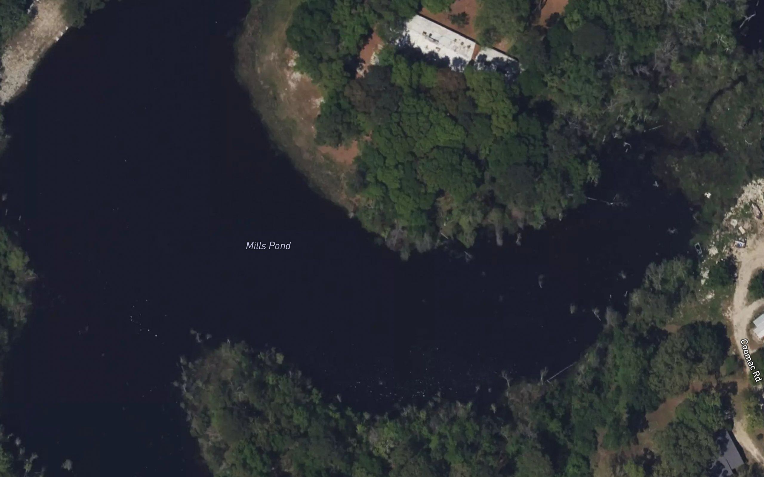 Mills Pond