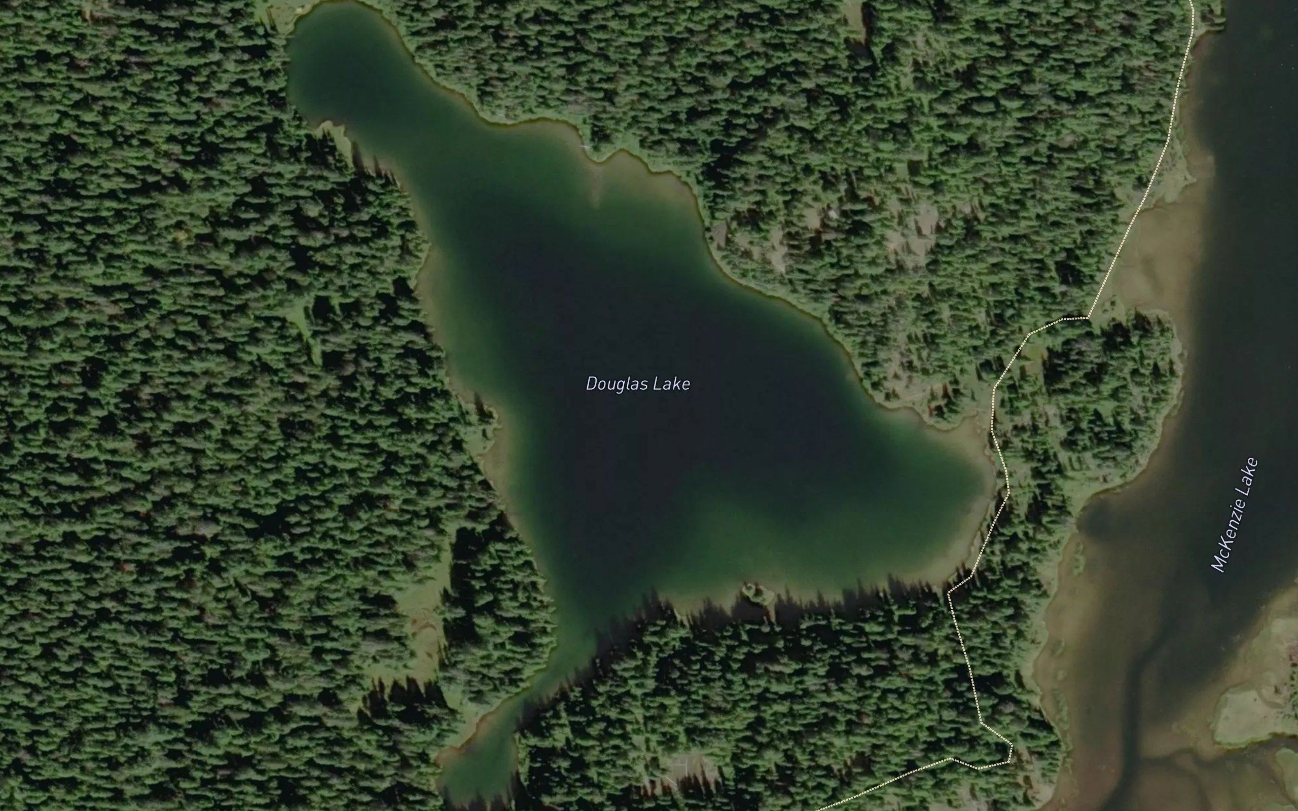 Douglas Lake