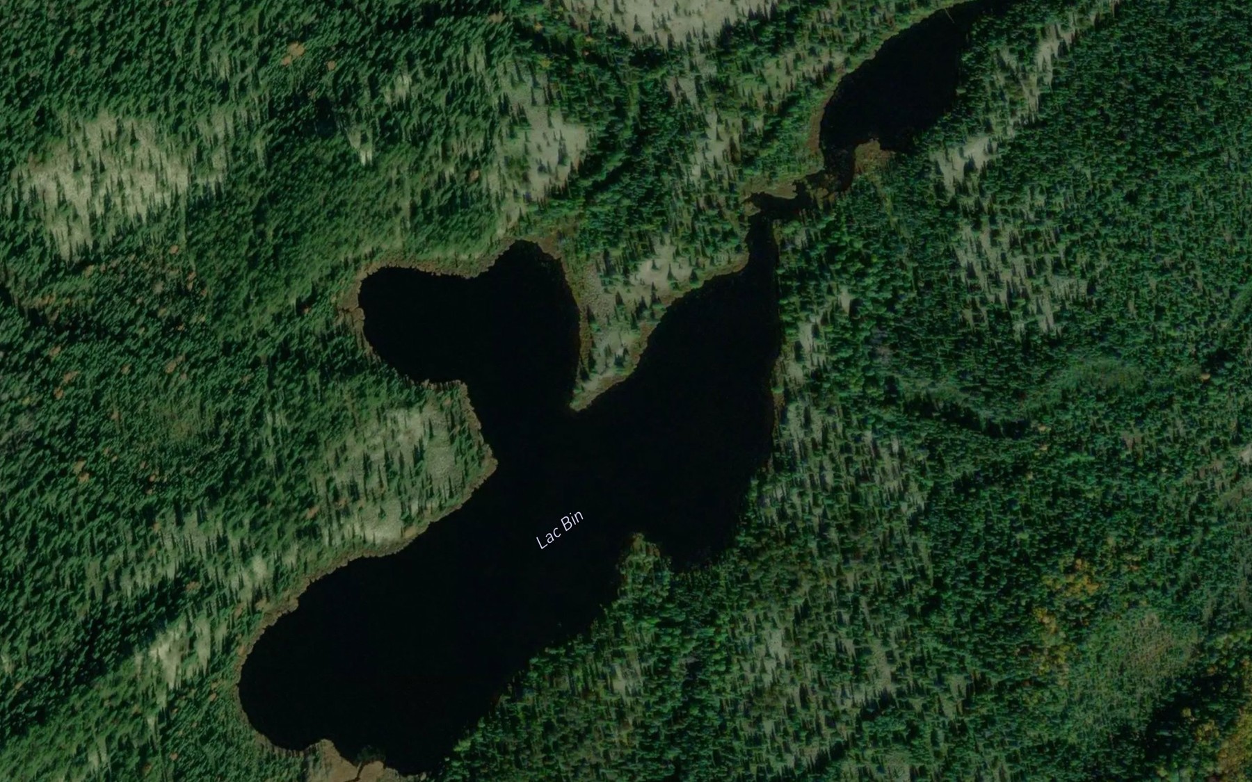 Satellite map of the Lac Bin