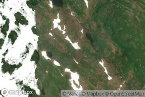 Big Island Pond Steadies