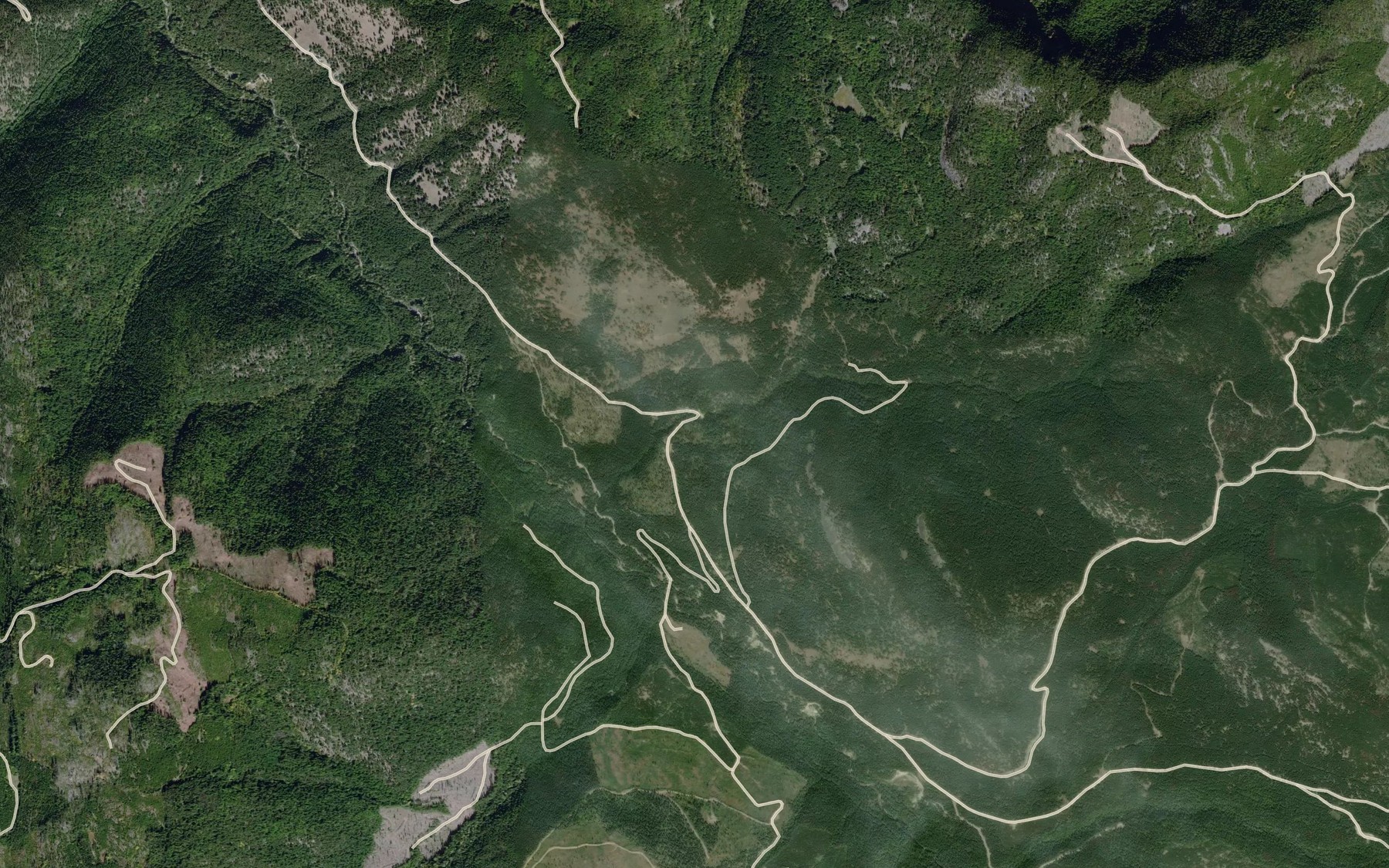 Satellite map of the McAuley Creek