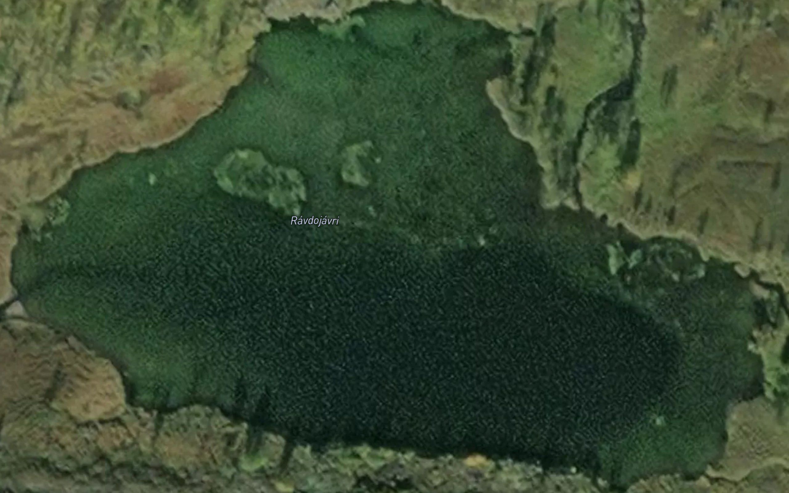 Ravdujavri