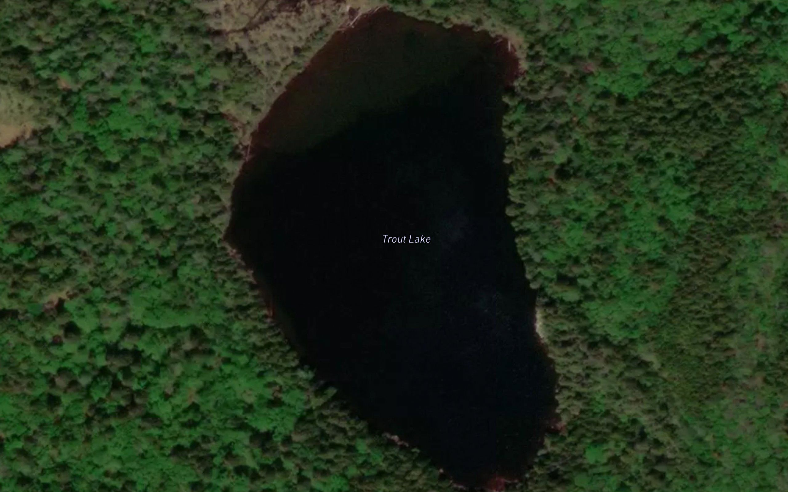 Trout Lake