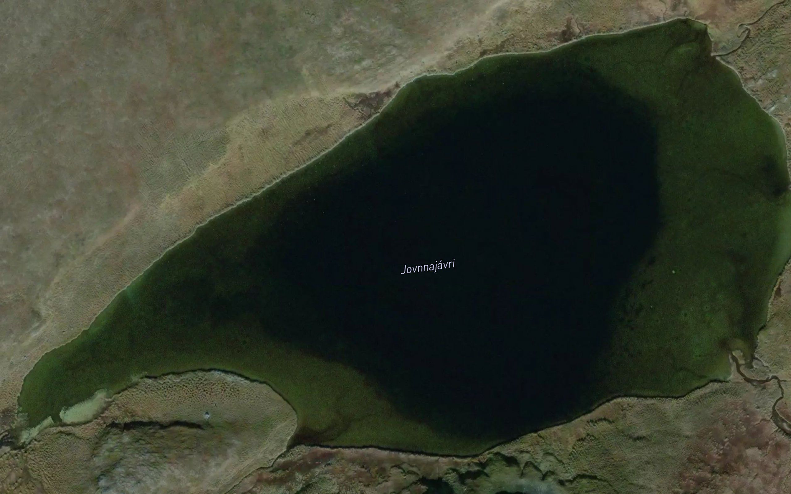 Javnajavri