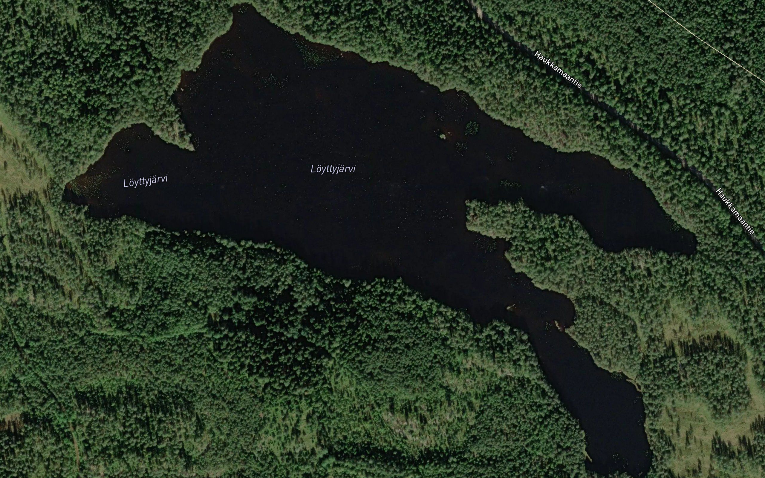 Loyttyjarvi