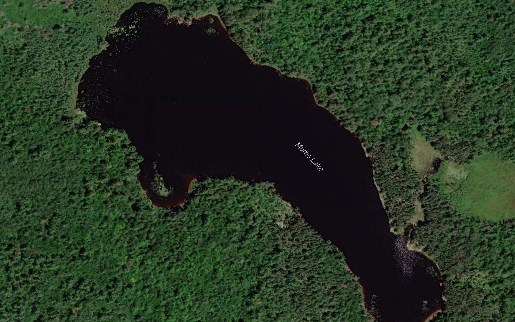 Satellite map of the Mums Lake
