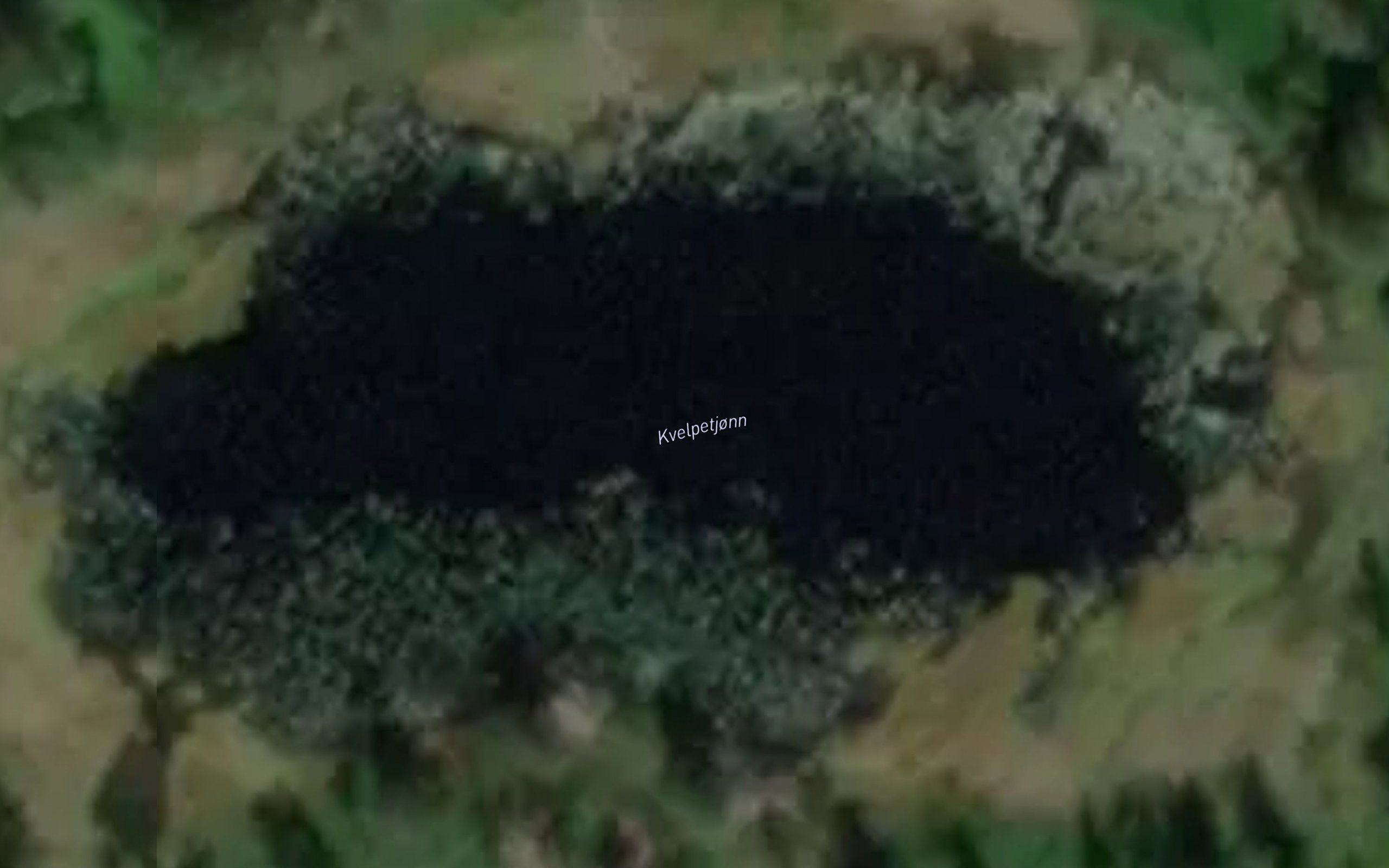Kvelpetjonn