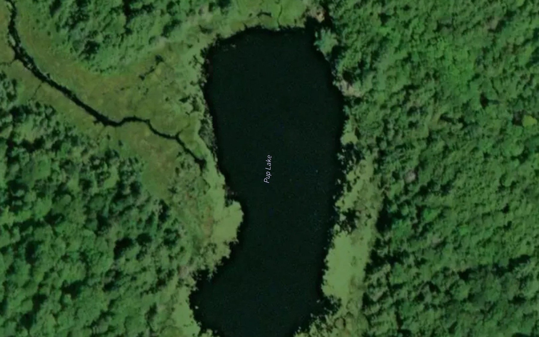 Satellite map of the Pup Lake