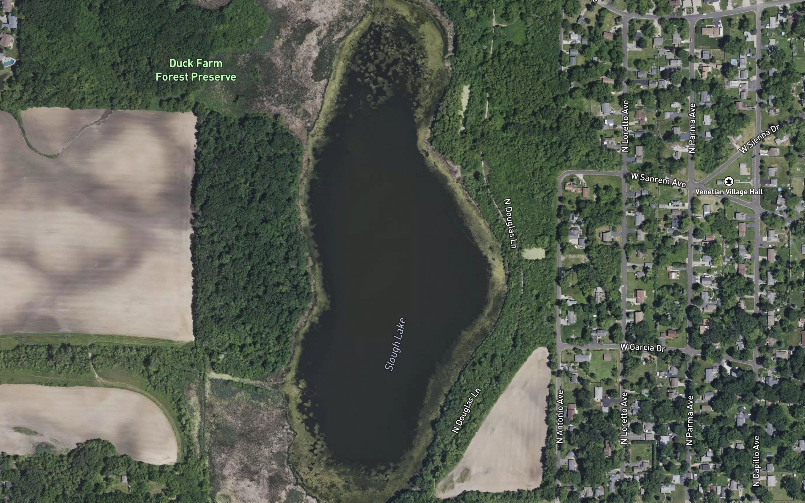 Slough Lake