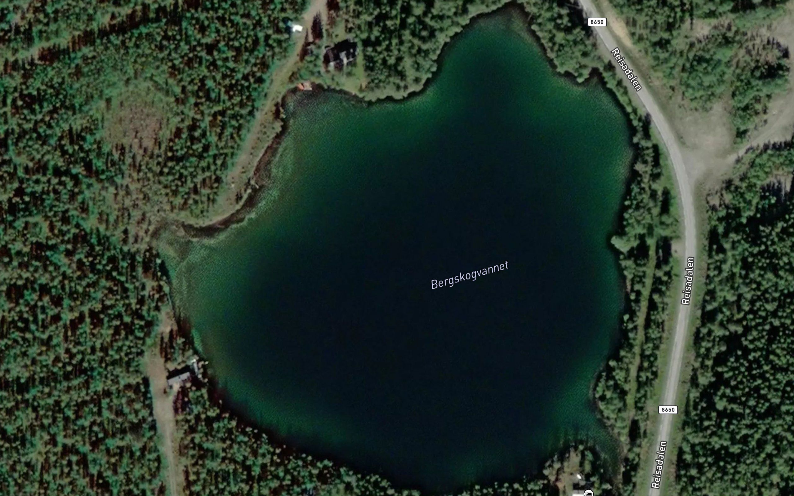 Bergskogvannet