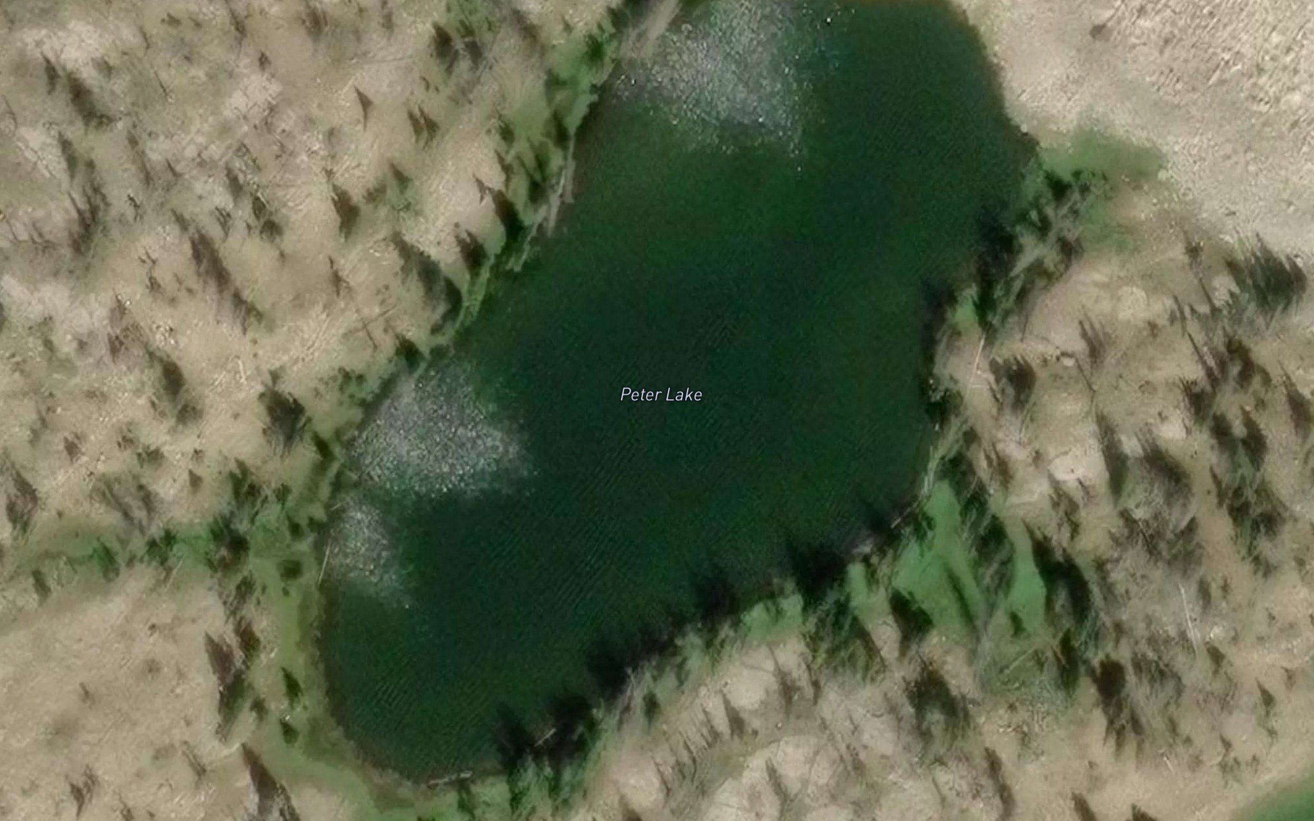 Peter Lake