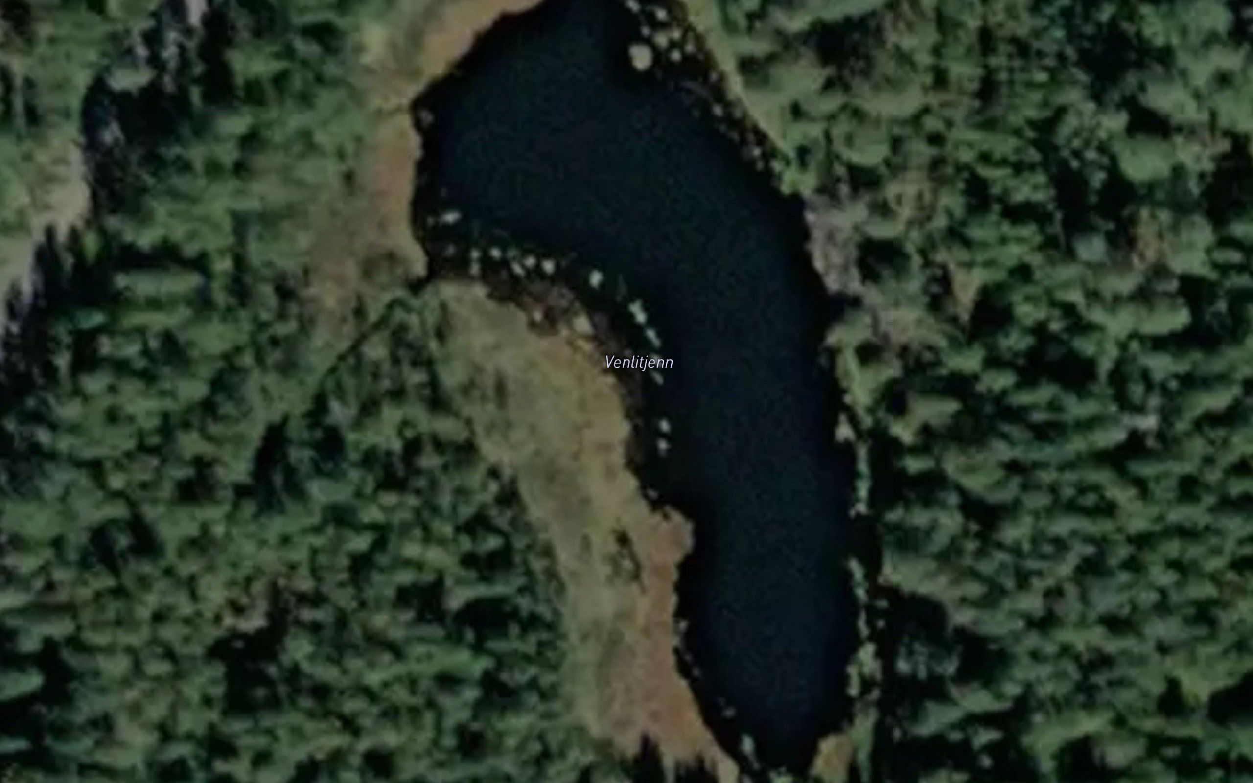 Venlitjern