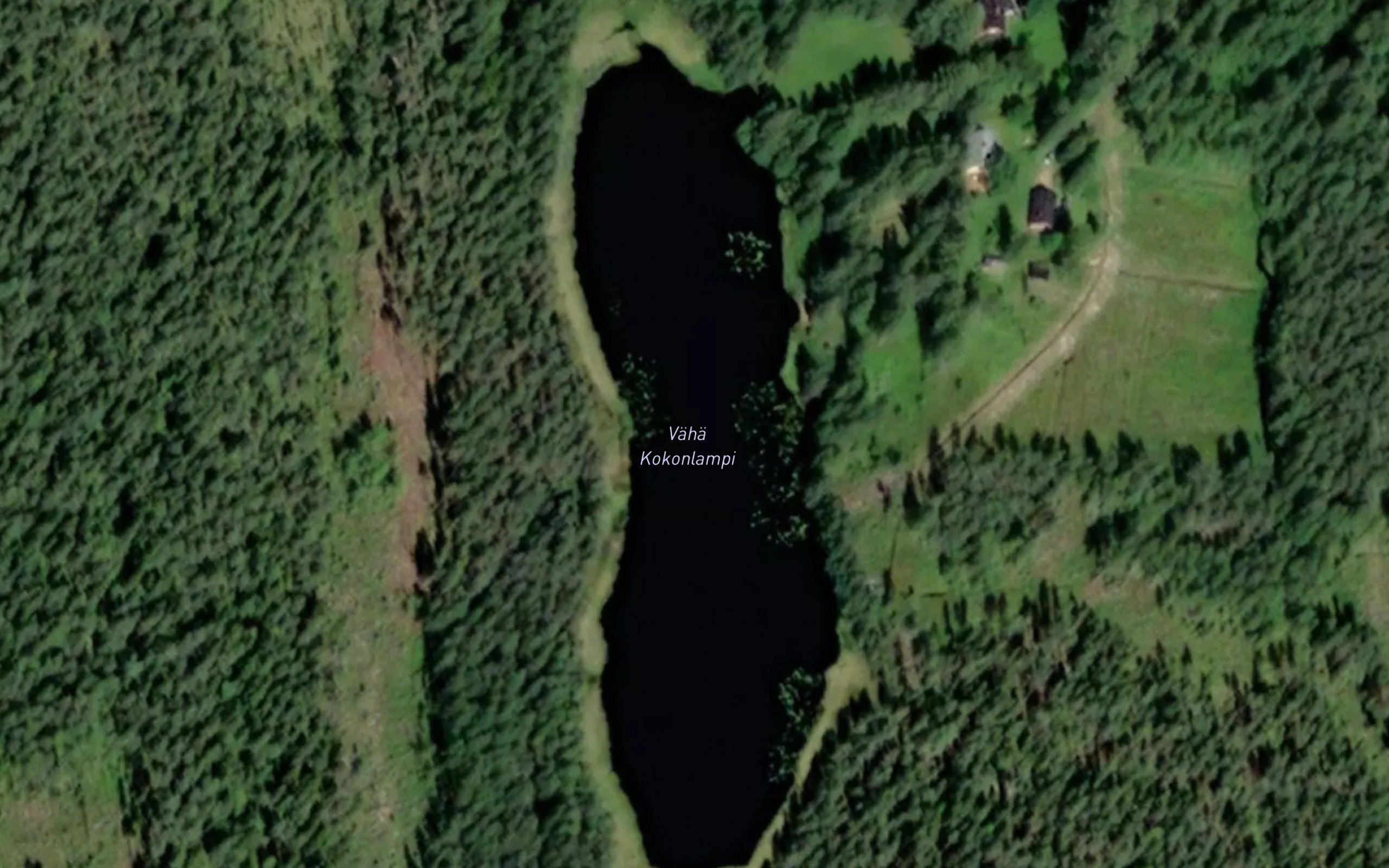 Vaha Kokonlampi