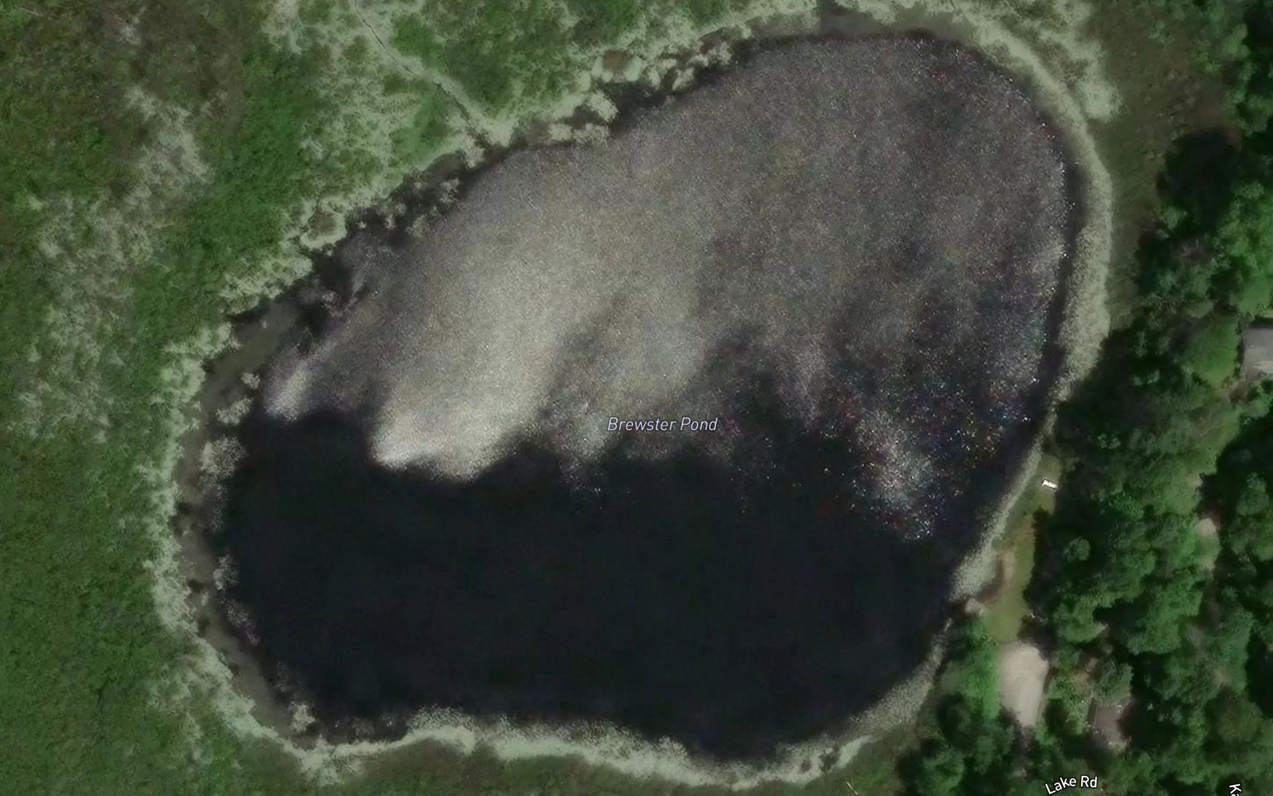 Brewster Pond