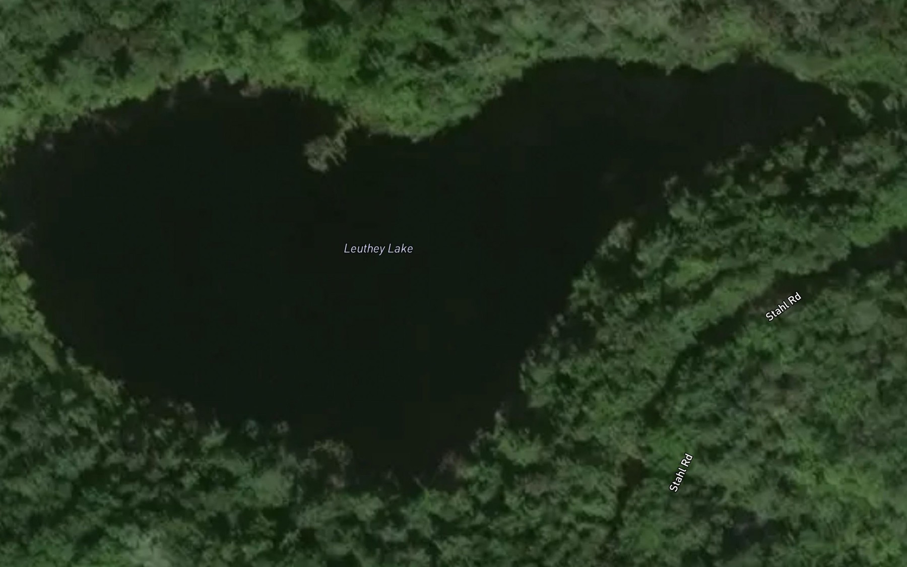 Satellite map of the Leuthey Lake
