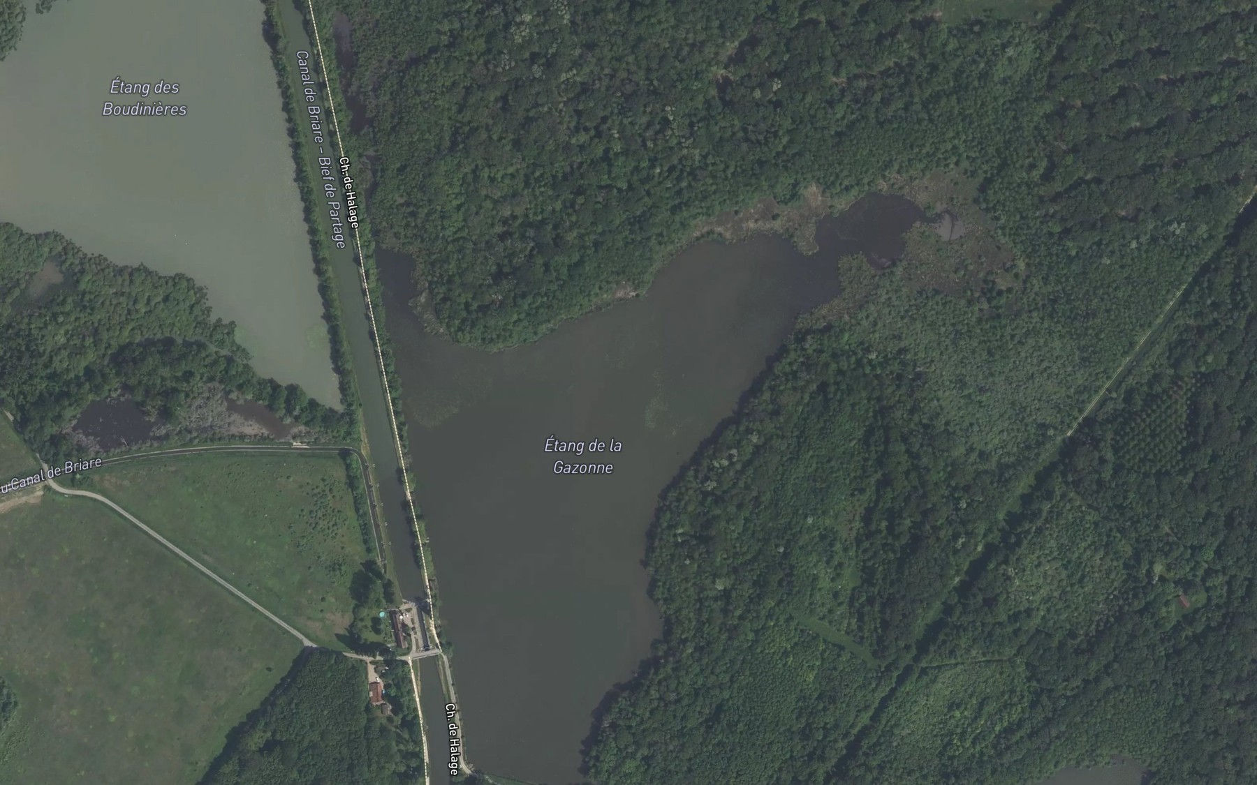 Satellite map of the Etang de la Gazzonne