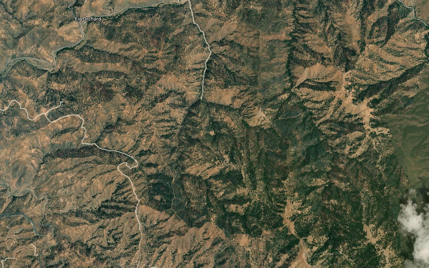 Satellite map of the Montgomery Spring