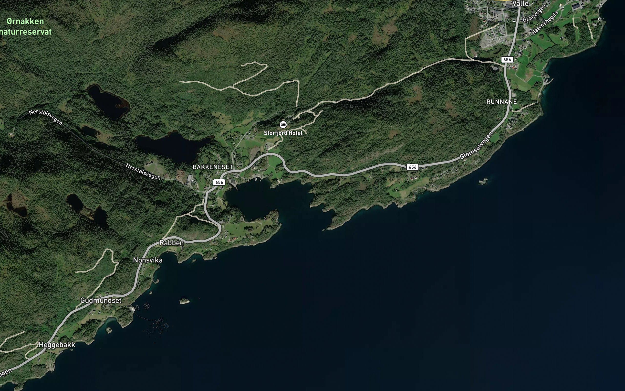 Svartevika