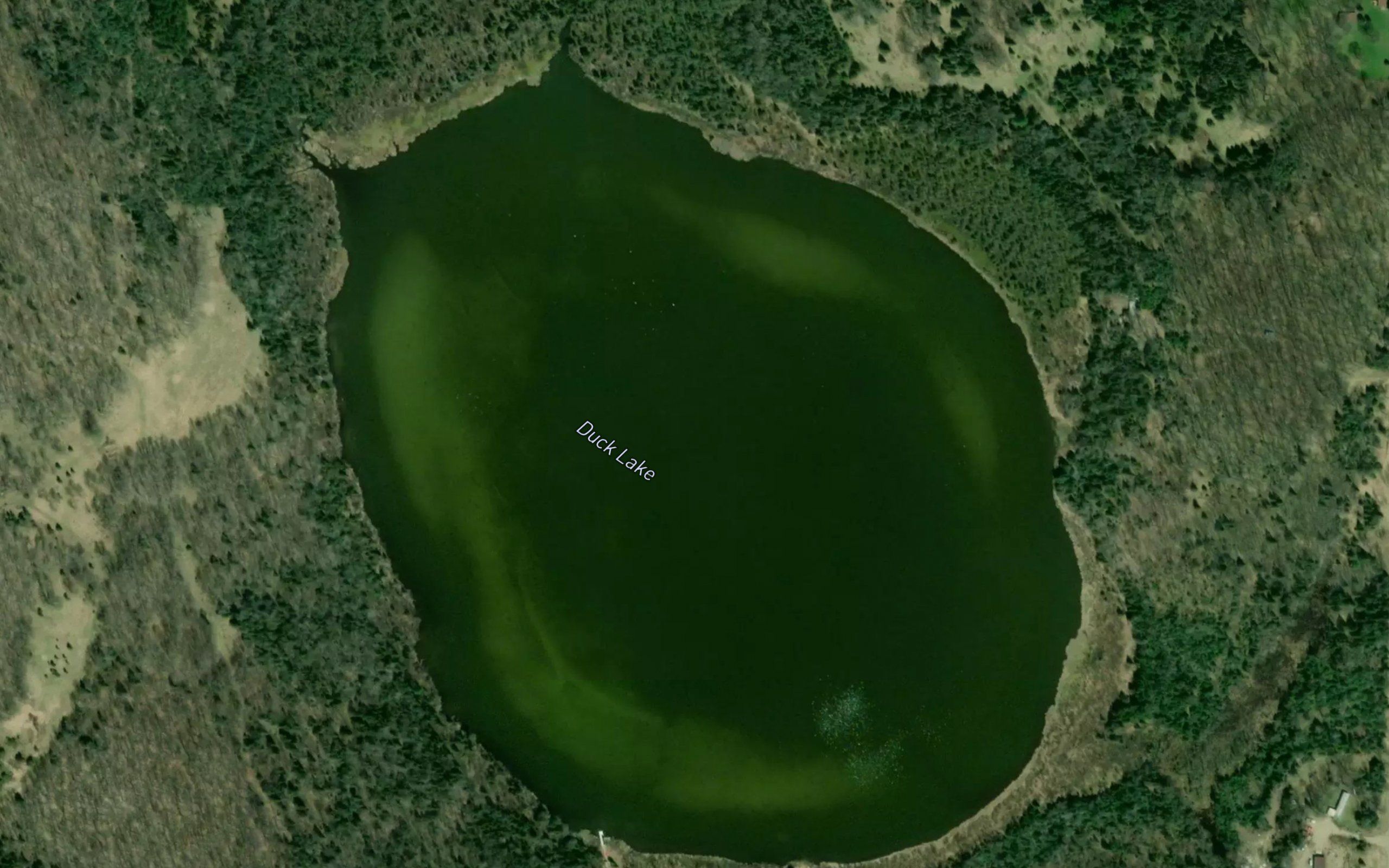 Duck Lake
