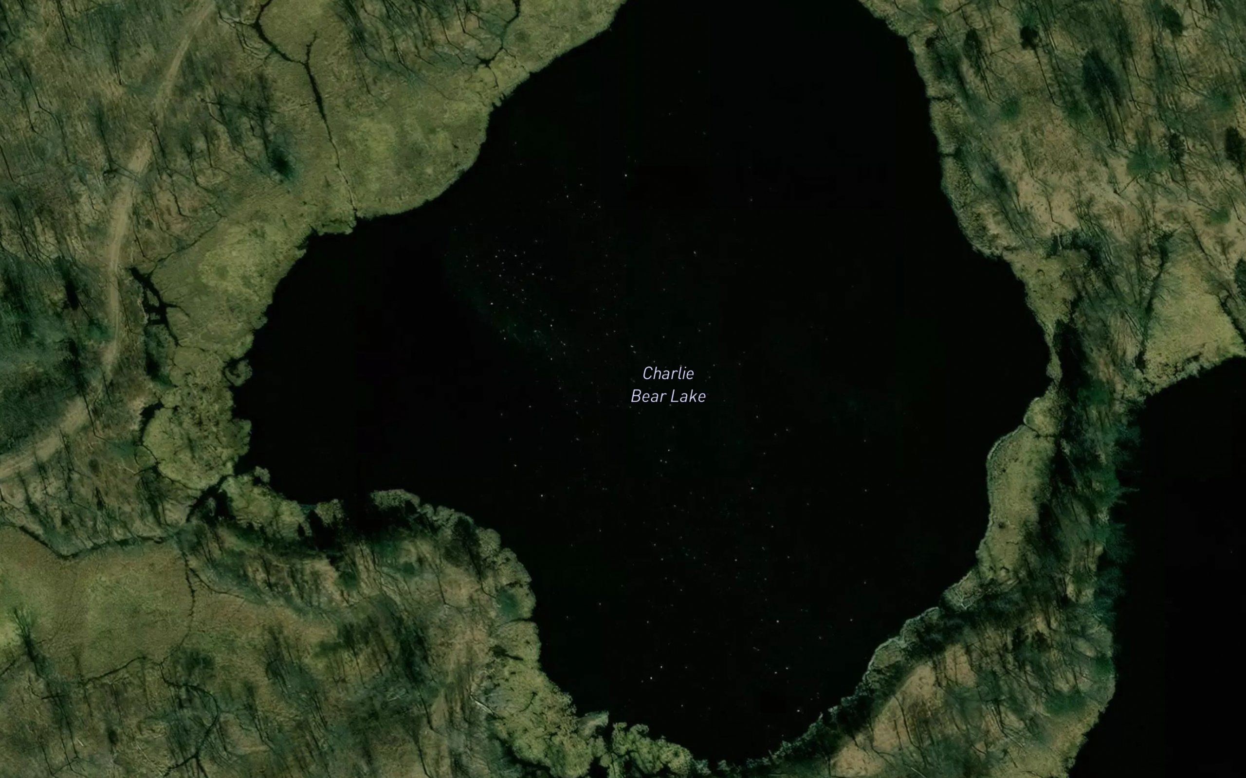 Charlie Bear Lake