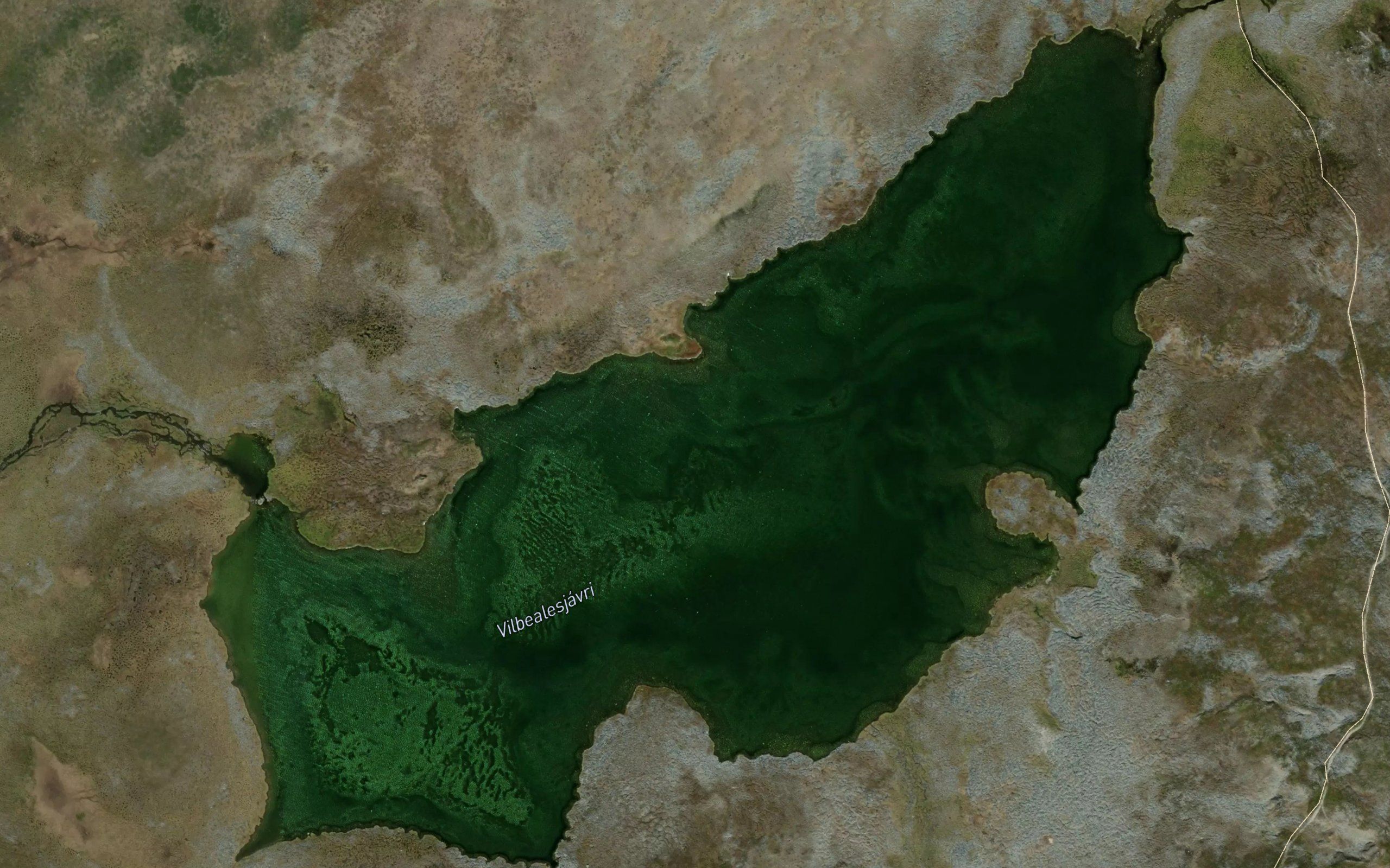 Vilbealasjavri