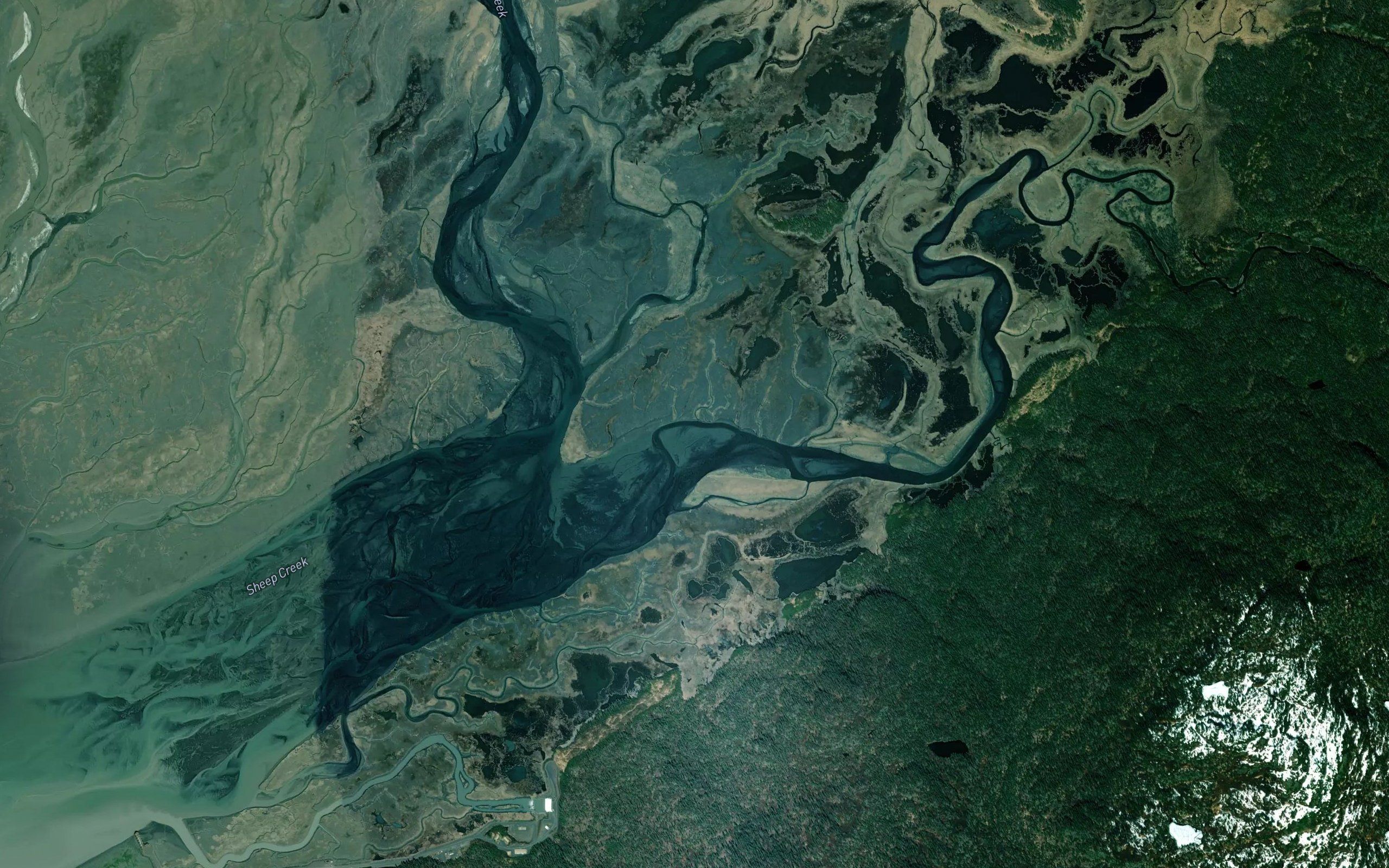 Bradley River