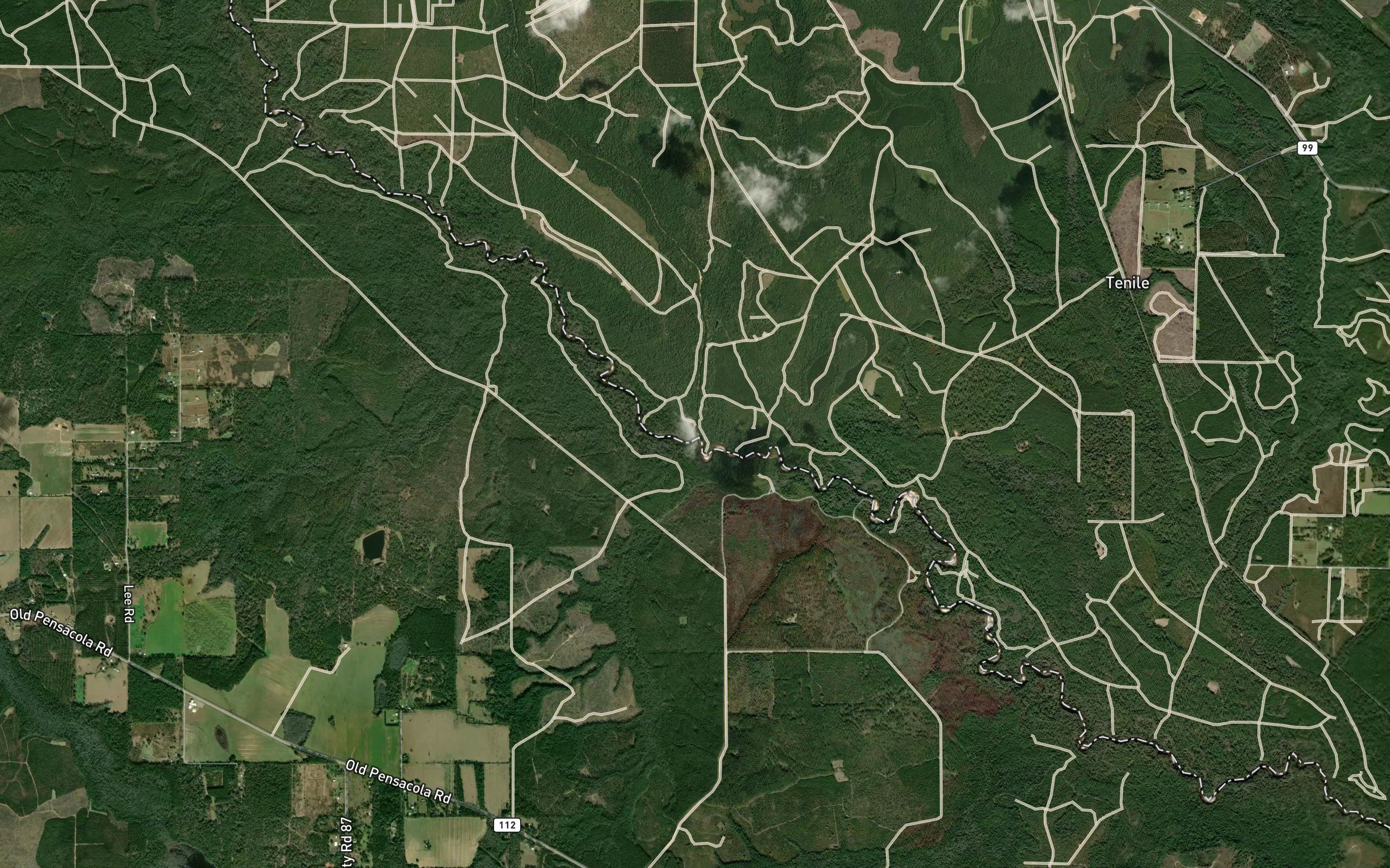 Boggy Creek