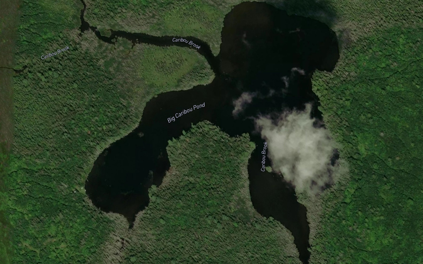 Satellite map of the Big Caribou Pond