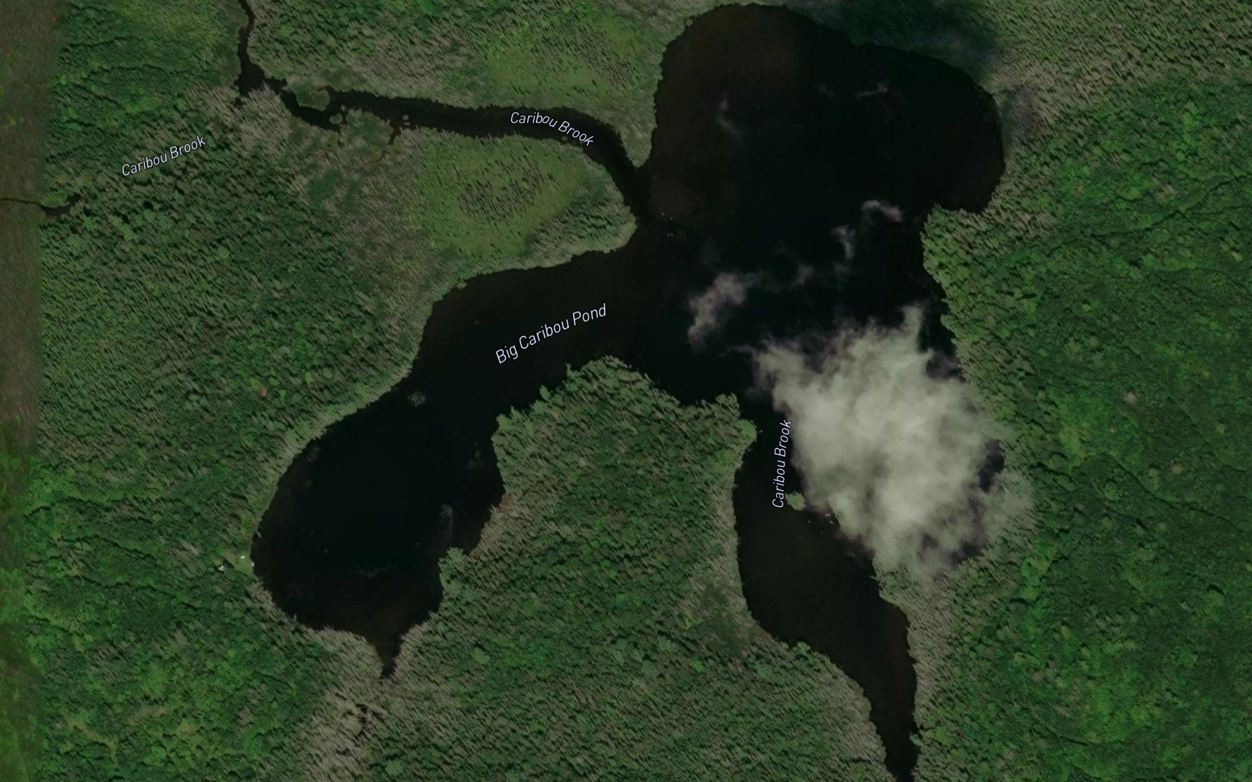Big Caribou Pond