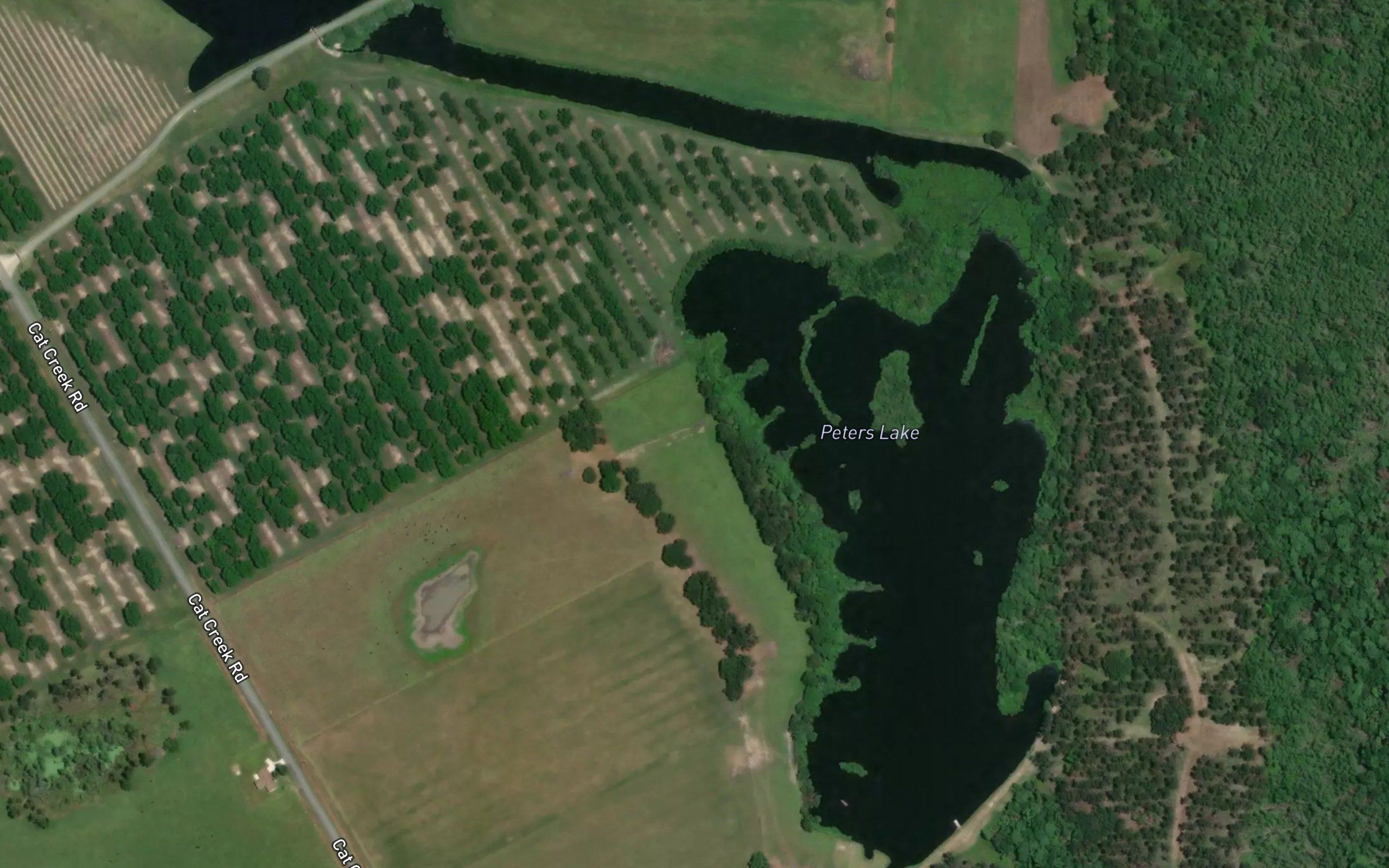 Peters Lake
