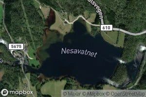 Nesavatnet