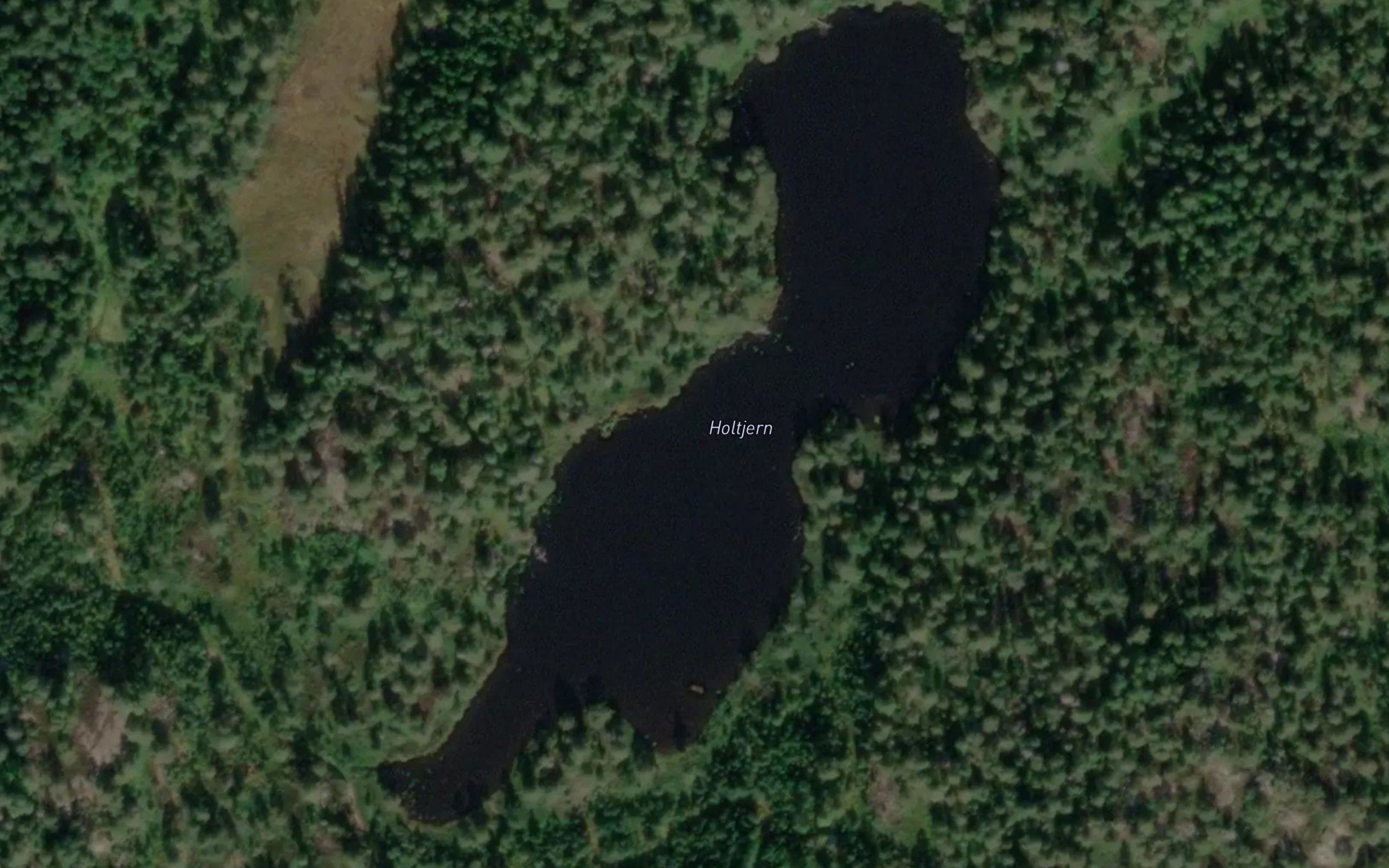 Holtjern