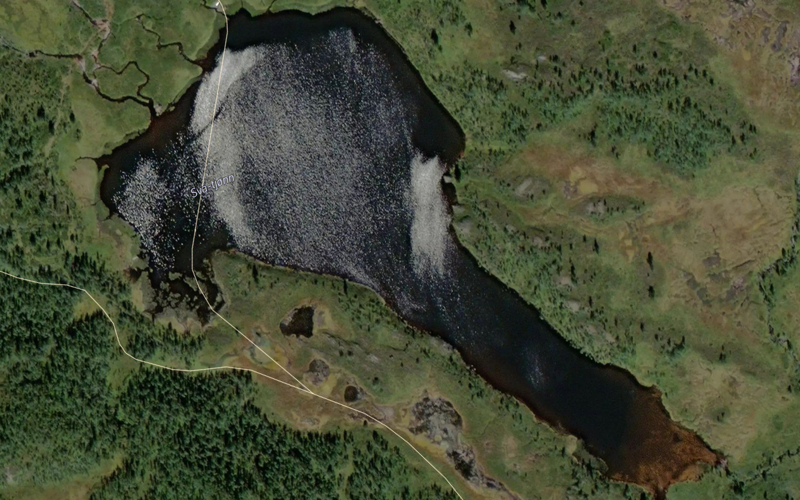 Svatjorn