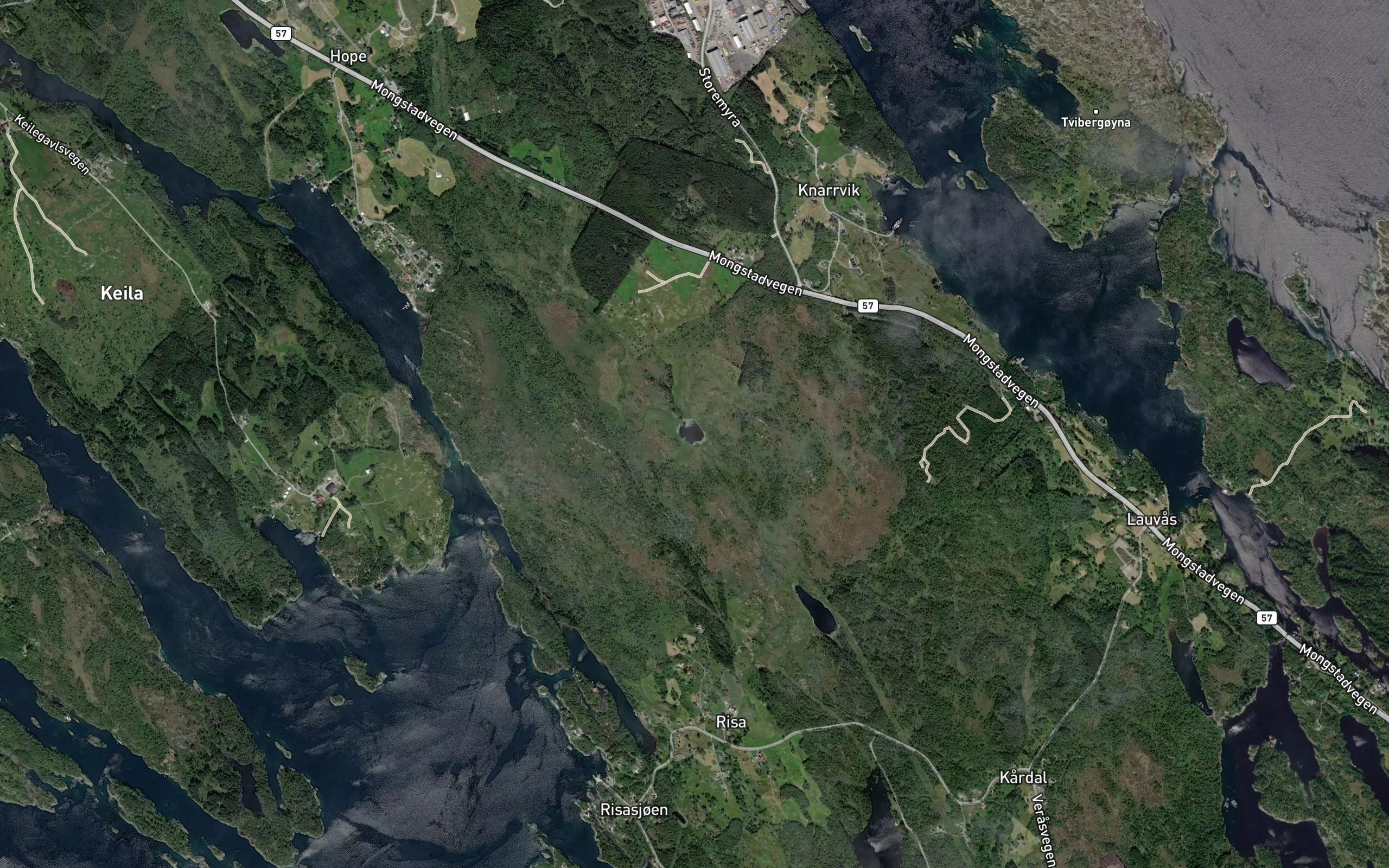 Skaptjorni