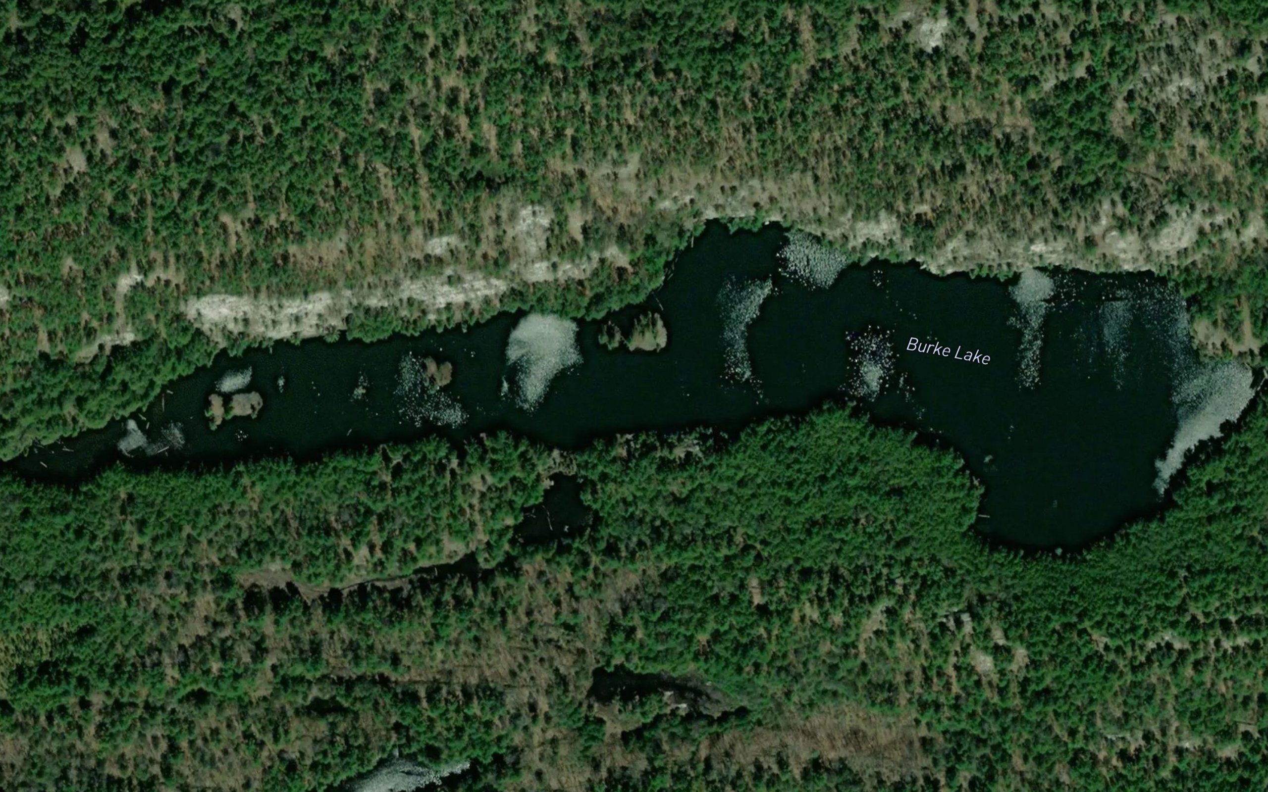 Burke Lake