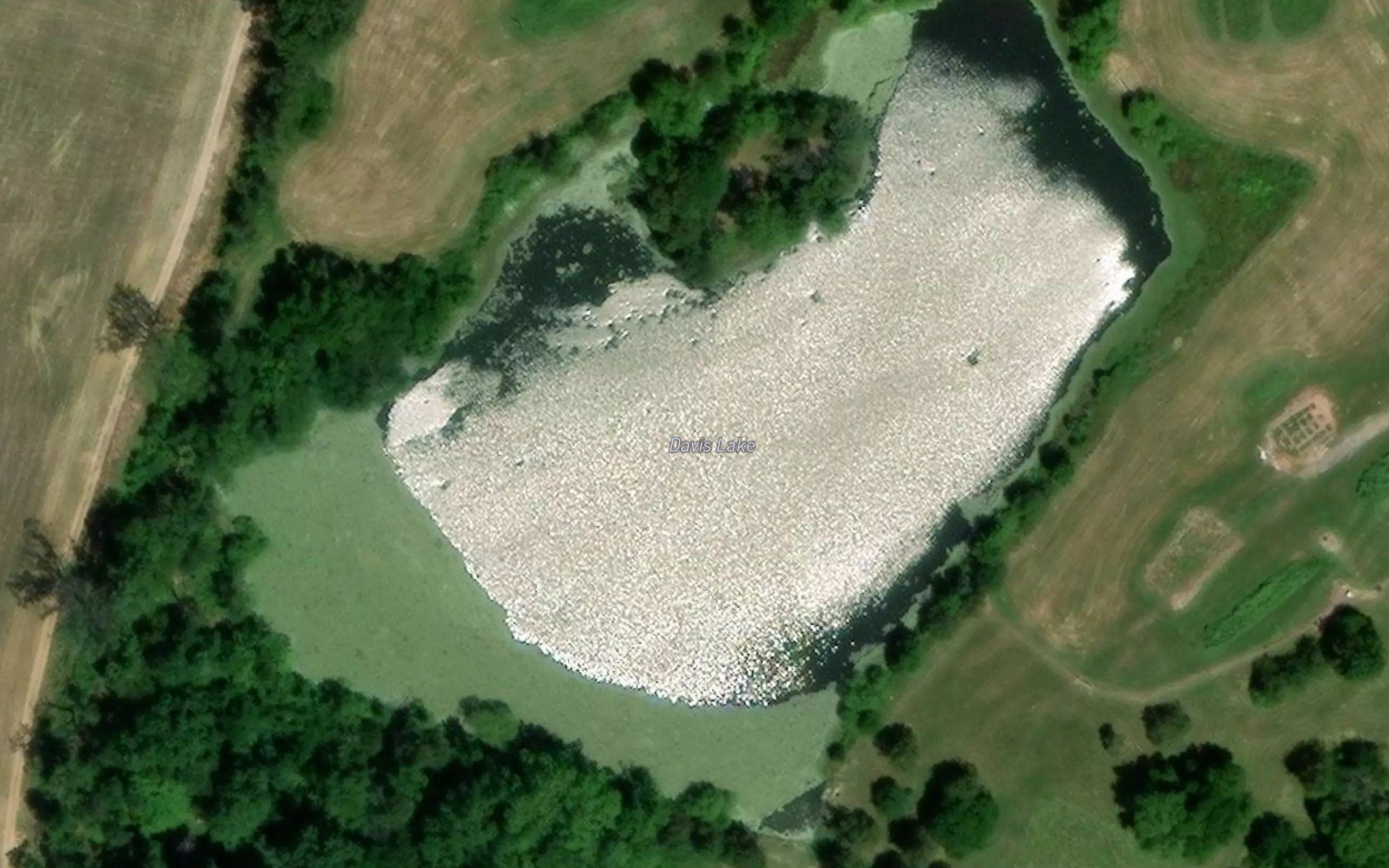 Davis Lake