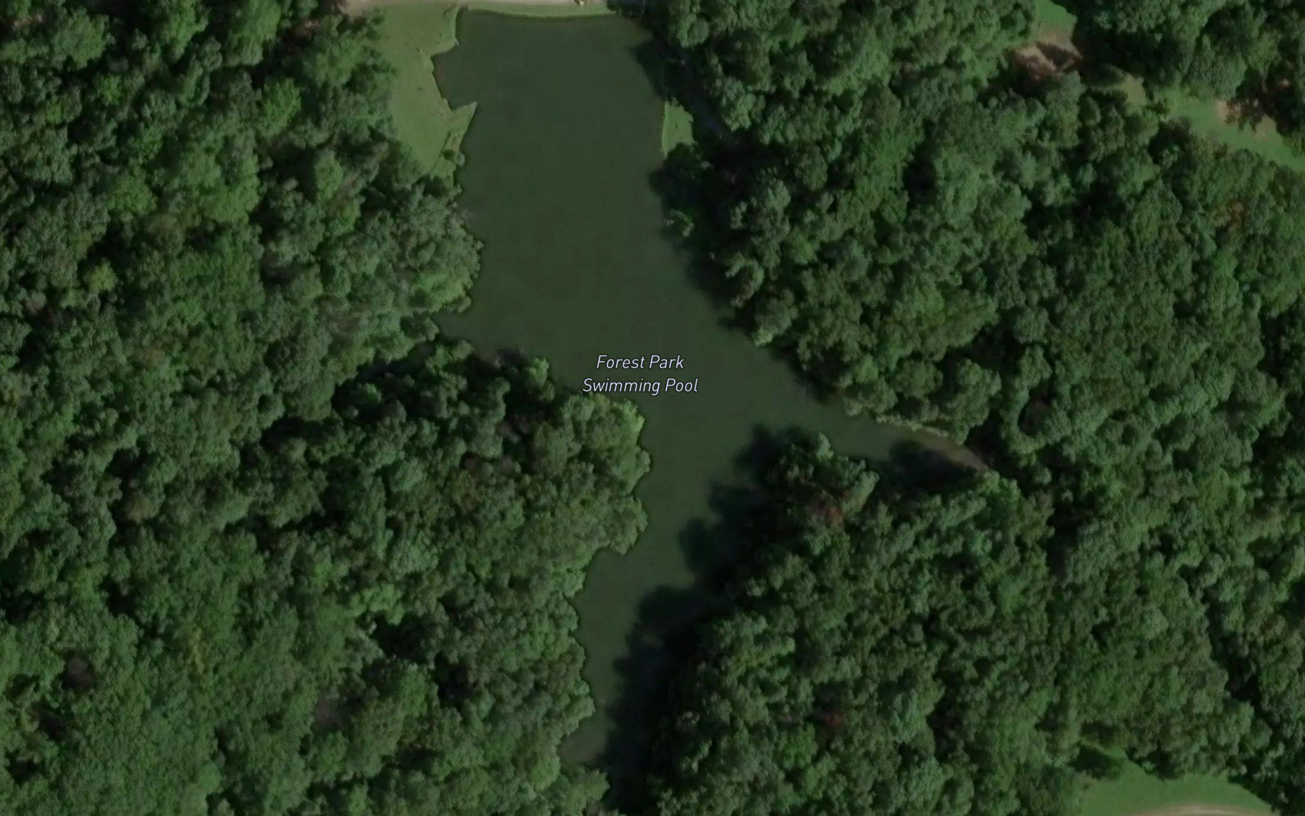 Forest Park Swimming Pool