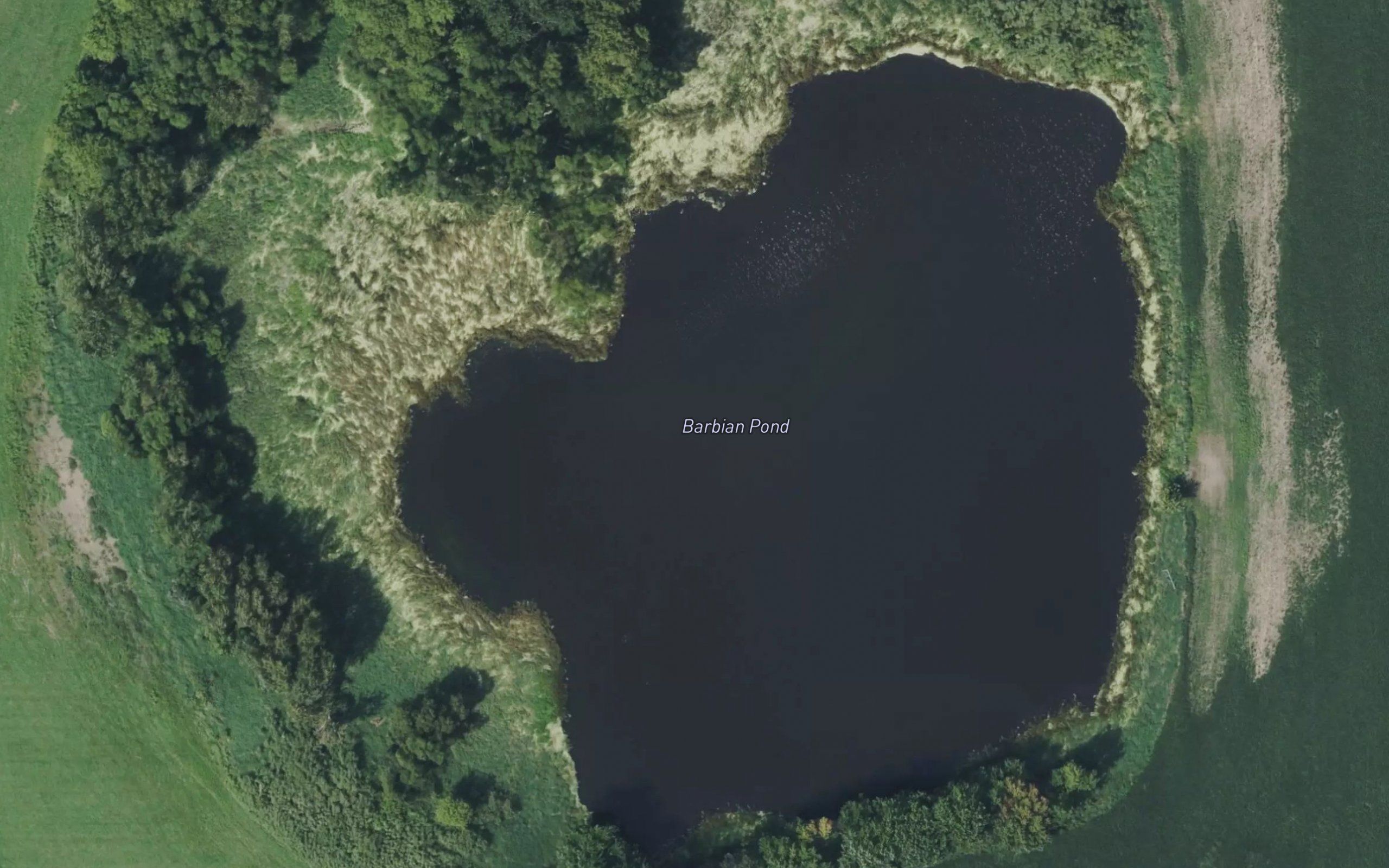 Barbian Pond