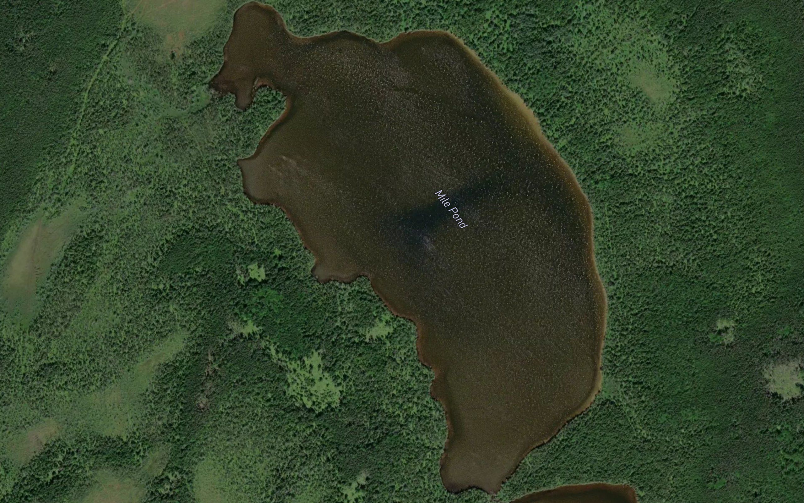 Mile Pond