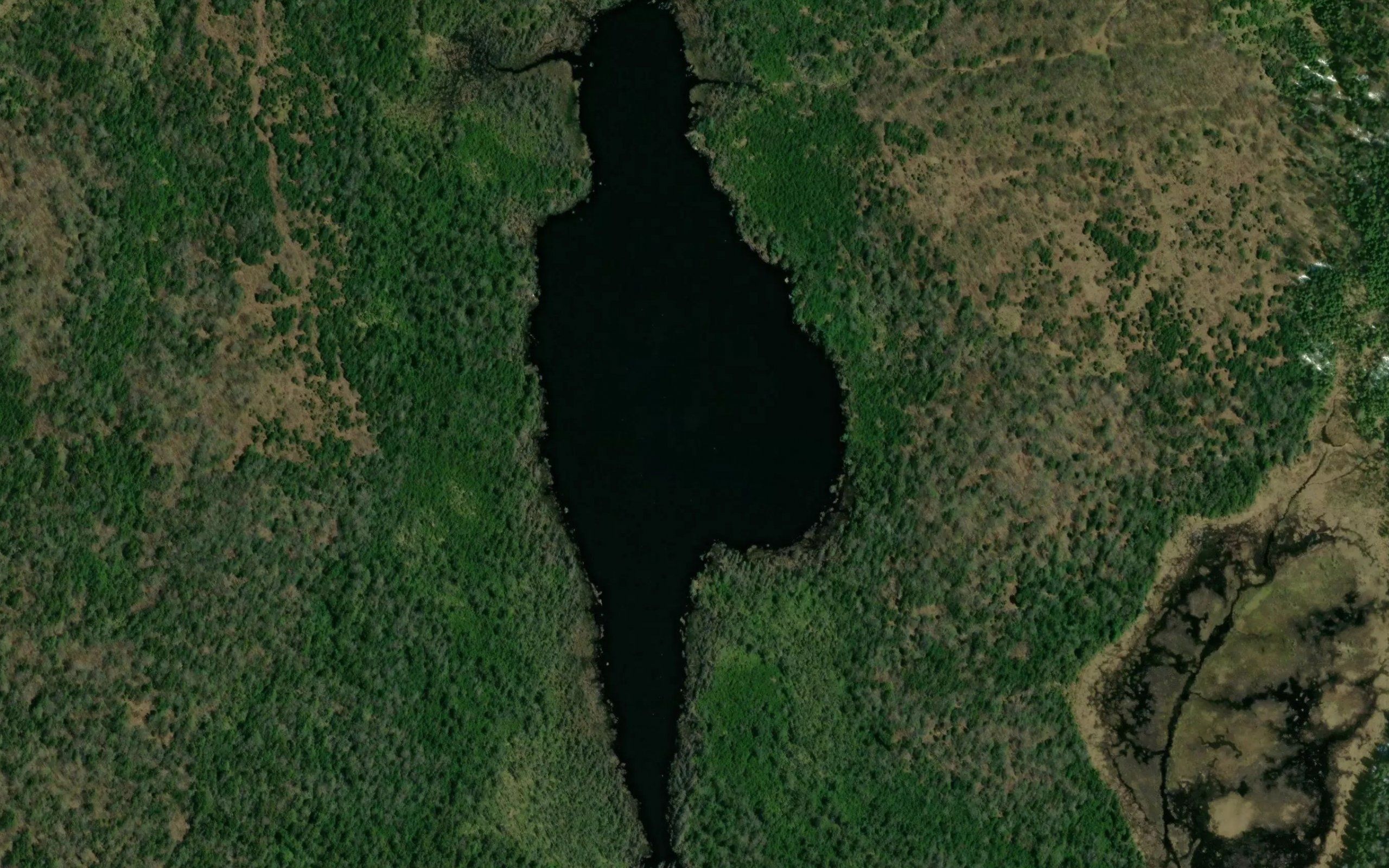 Halfway Pond