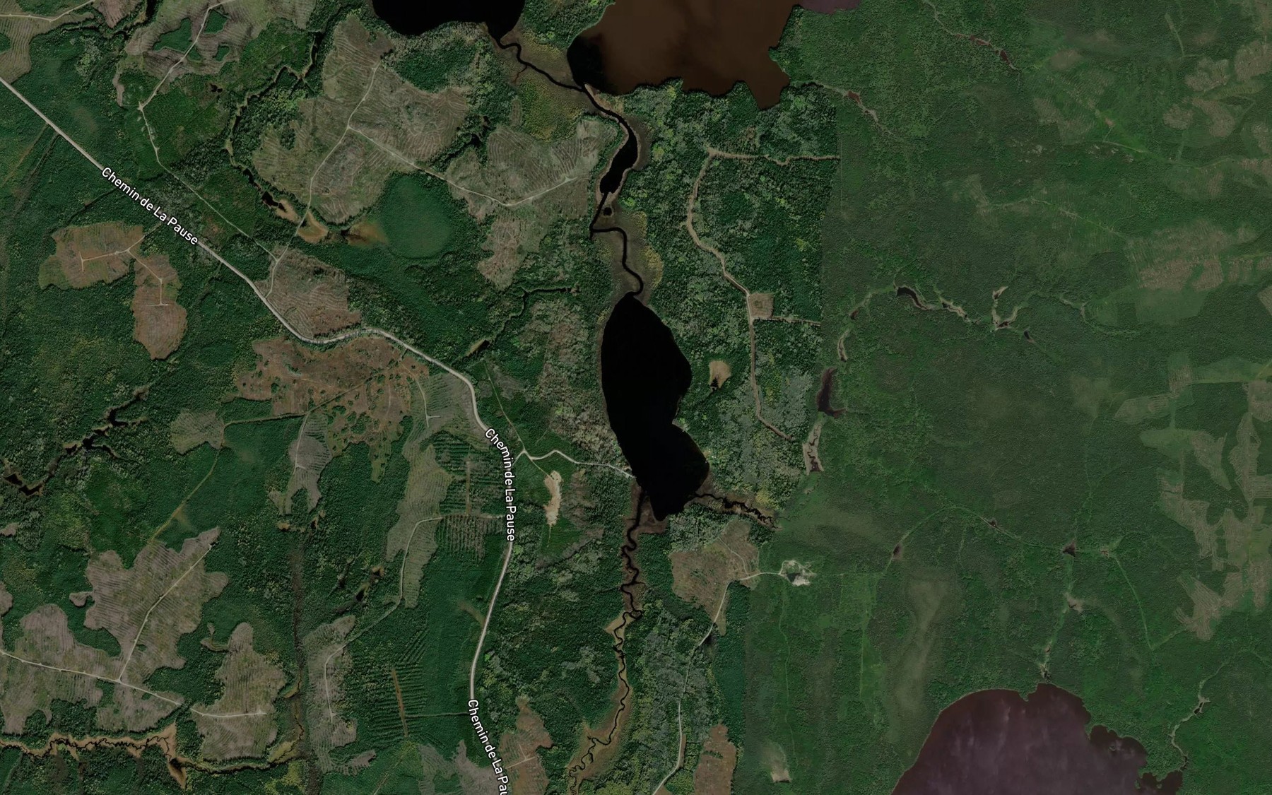 Satellite map of the Lac Bellot