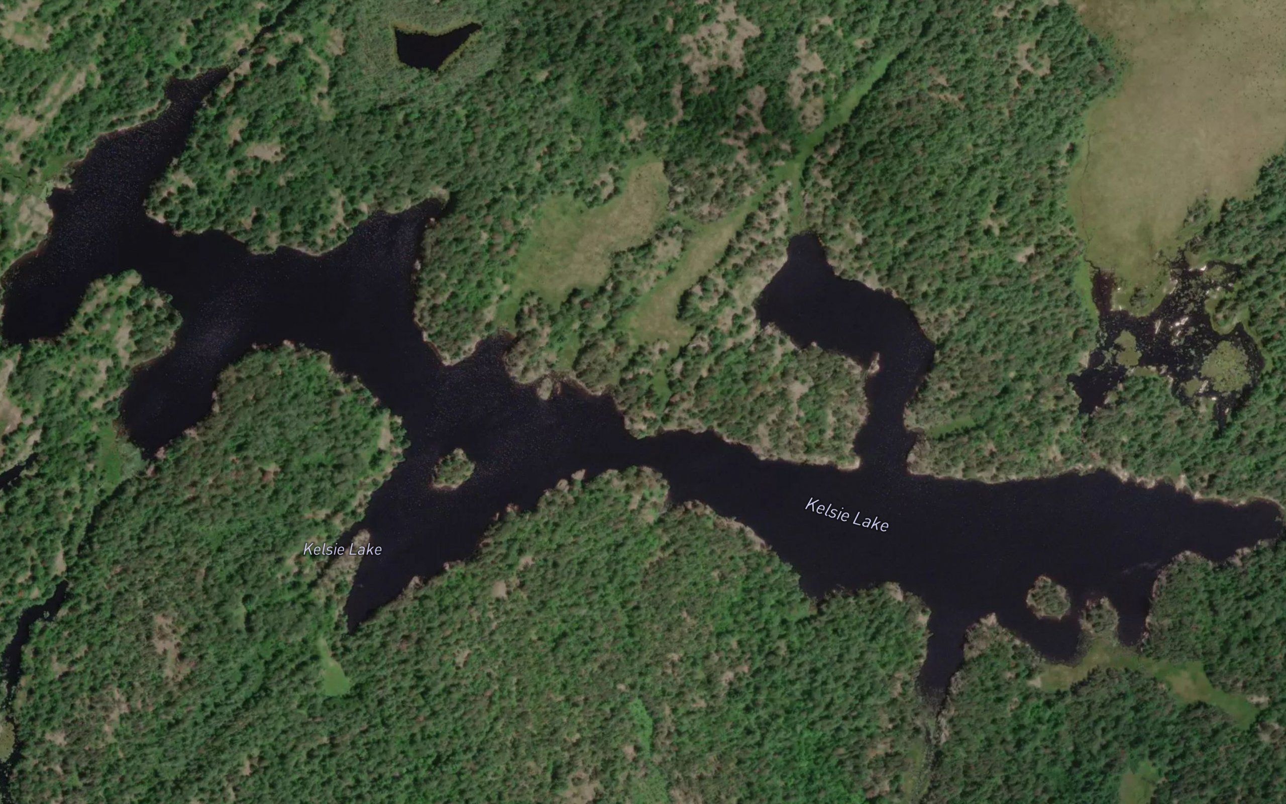 Kelsie Lake