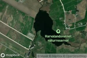 Harvalandsvatnet