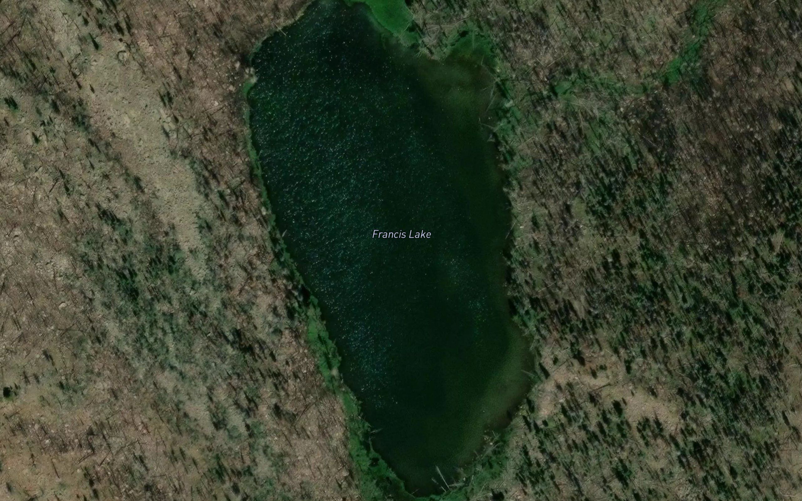 Francis Lake
