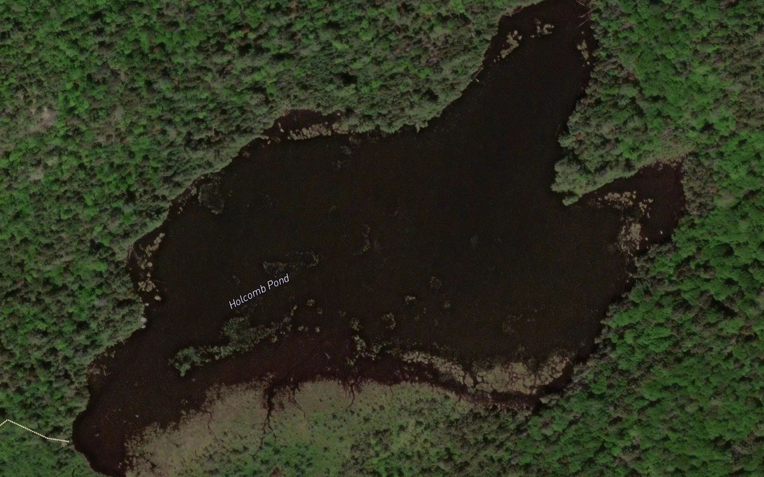 Holcomb Pond