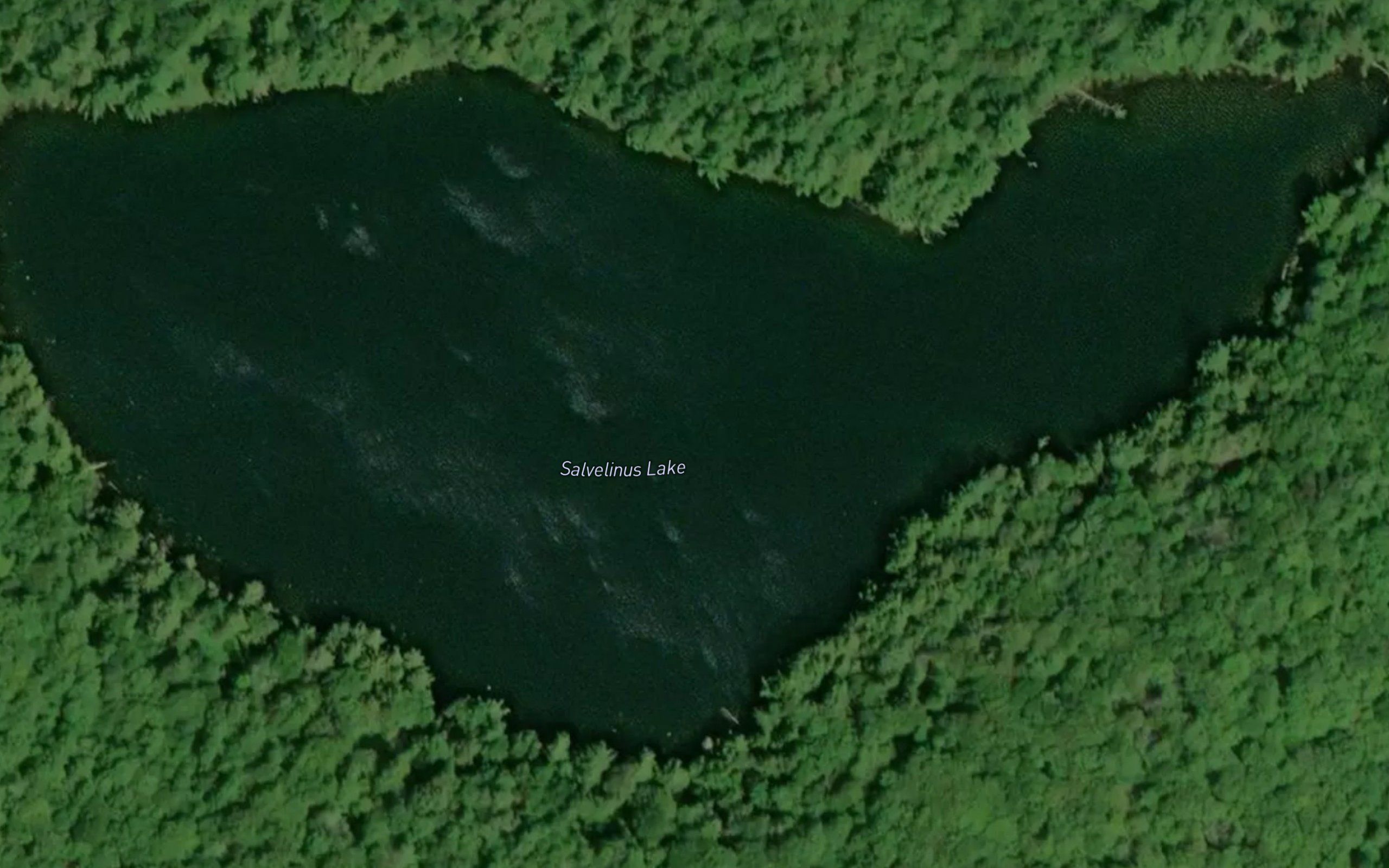 Salvelinus Lake