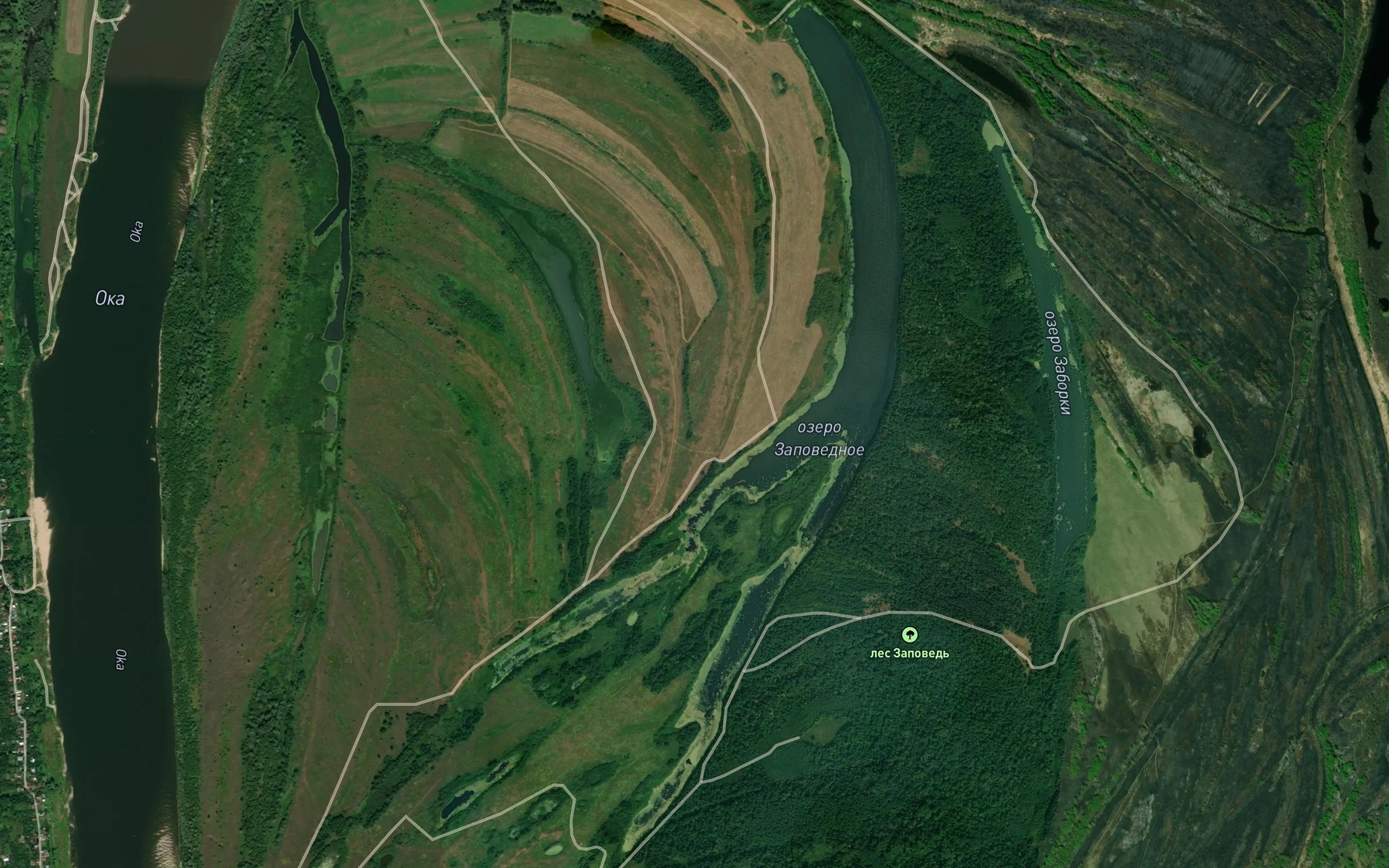 Satellite map of the Ozero Zapovednoye